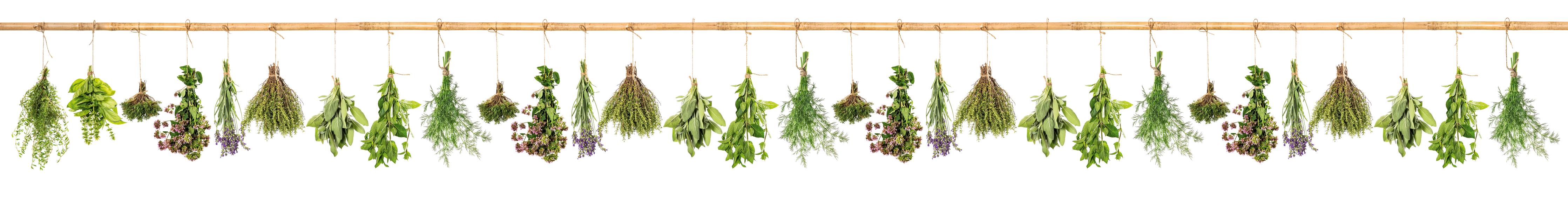 Küchenrückwand-Dekorative grüne Pflanzen Bordürenmuster