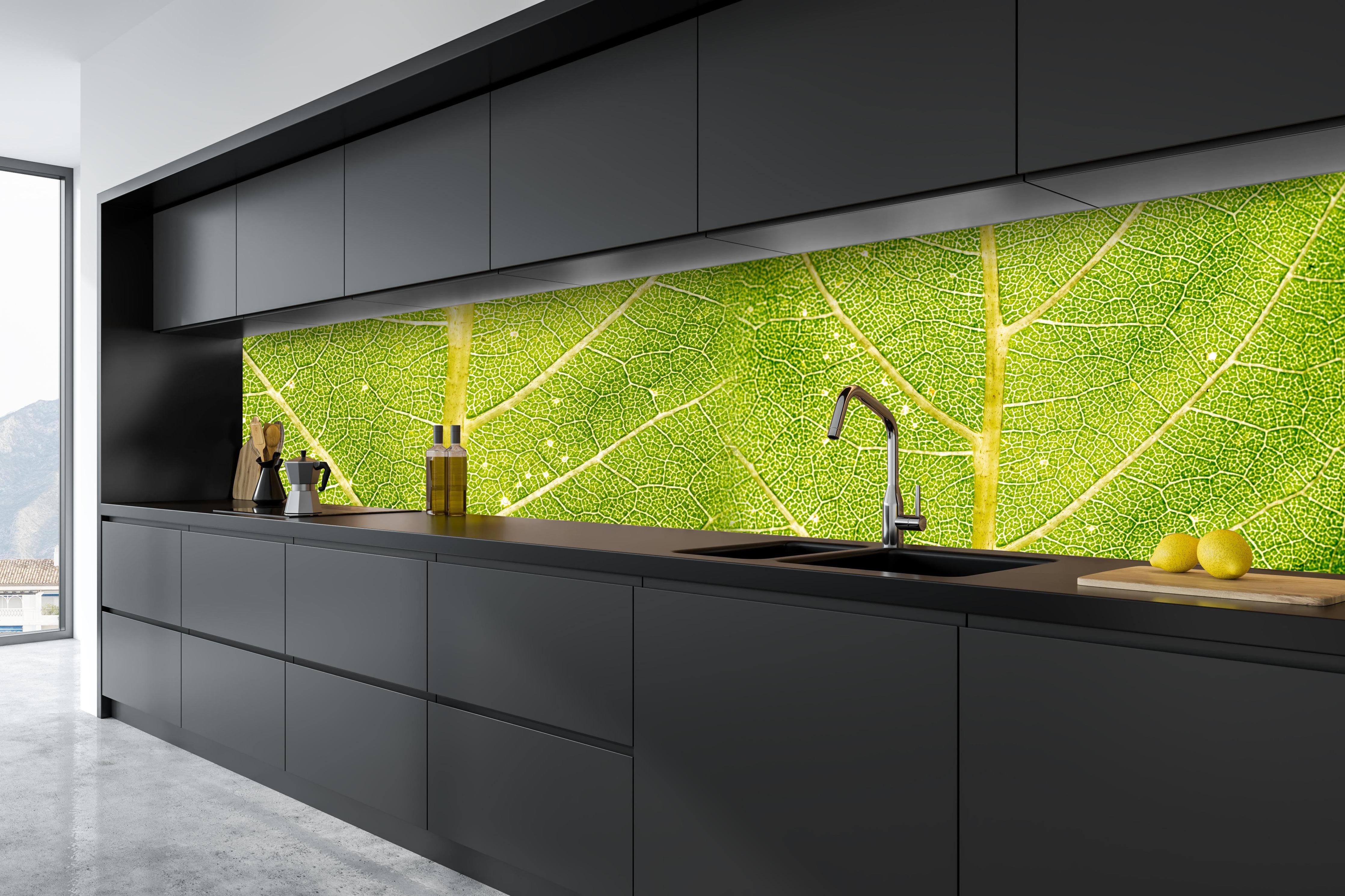 Küche - Detailreiche Nahaufnahme grüner Blattstruktur hinter weißen Hochglanz-Küchenregalen und schwarzem Wasserhahn