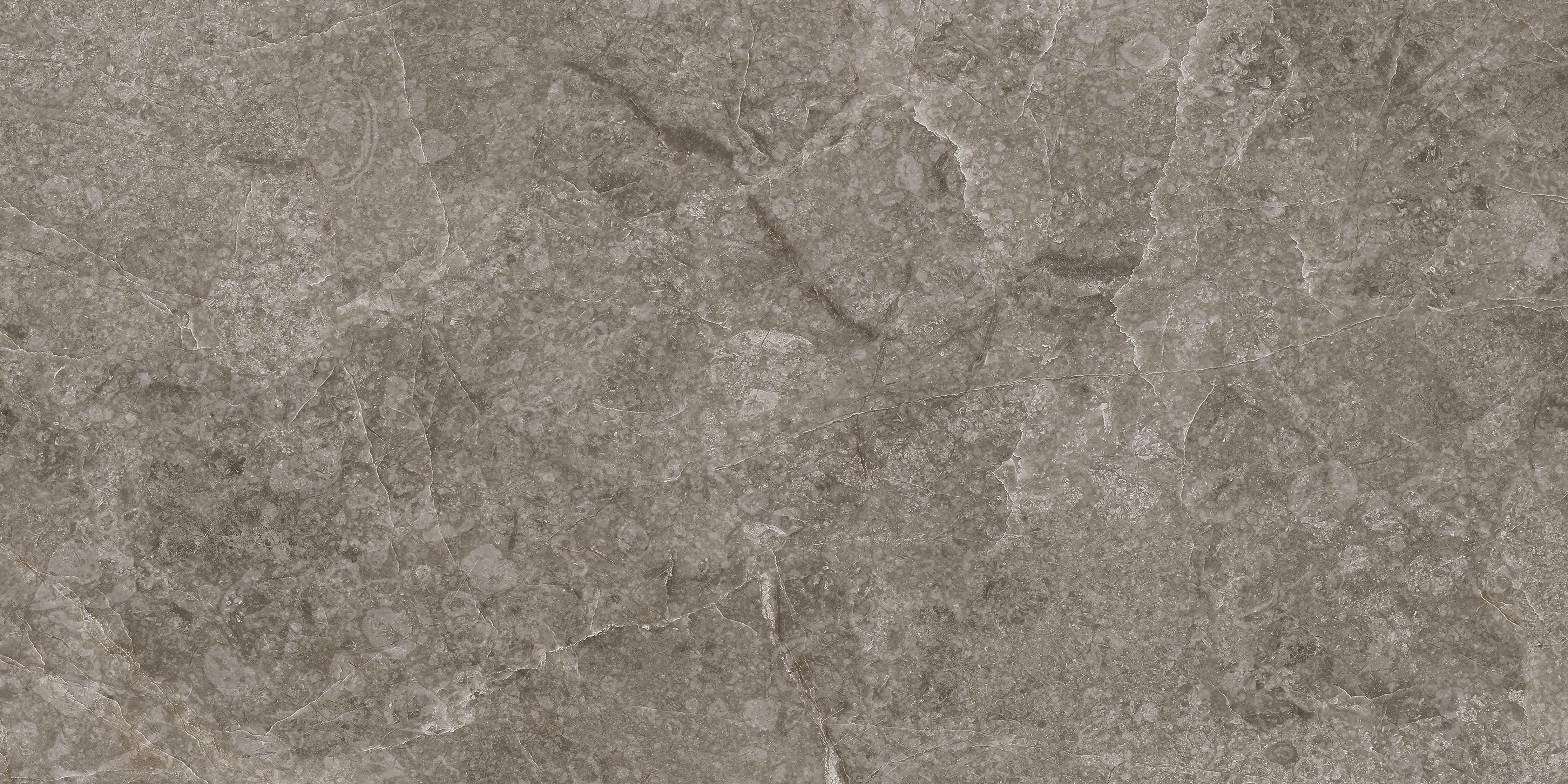 Küchenrückwand-Dunkle Marmor Stein Textur