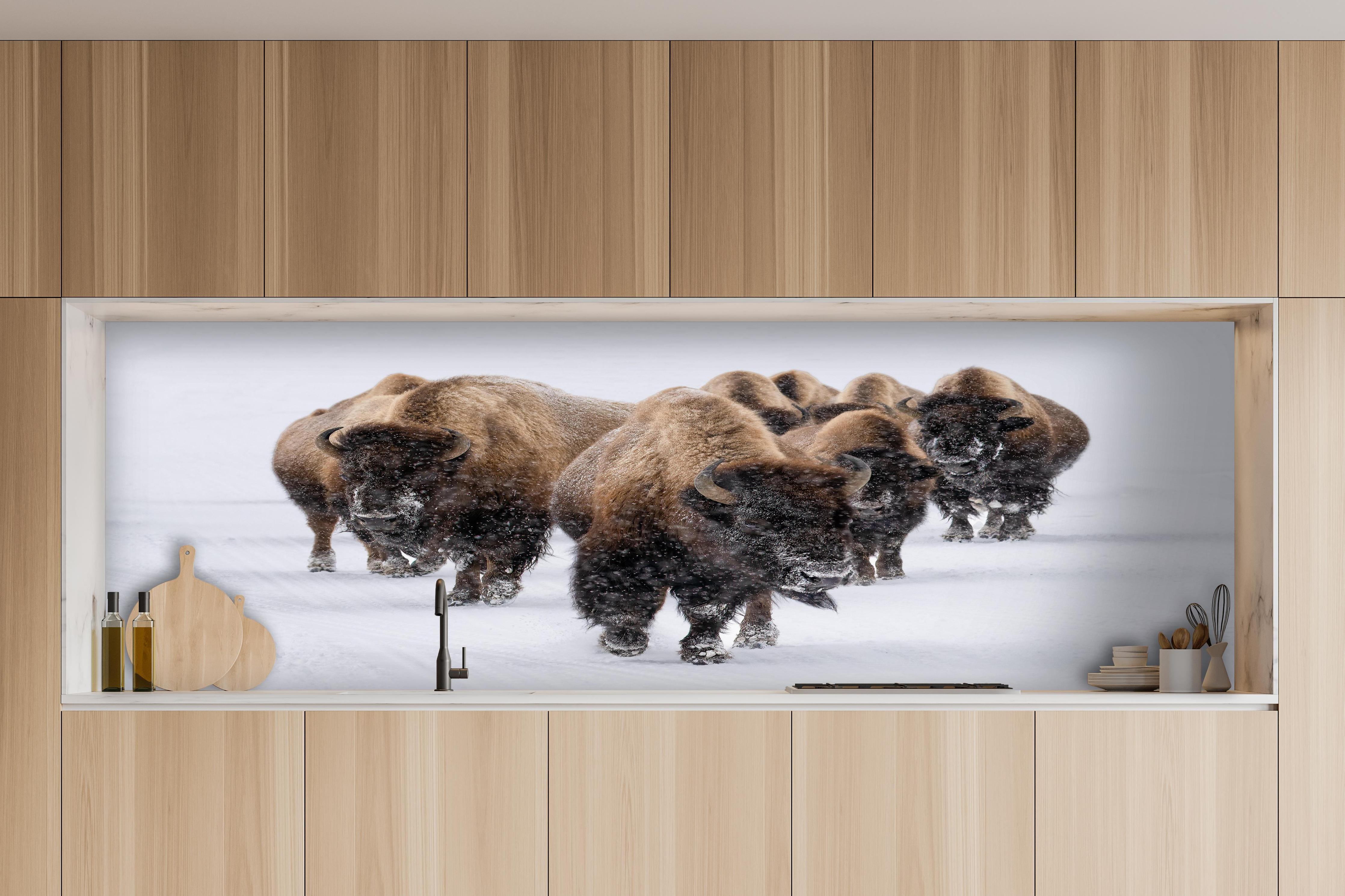 Küche - Eine Bison Herde hinter weißen Hochglanz-Küchenregalen und schwarzem Wasserhahn