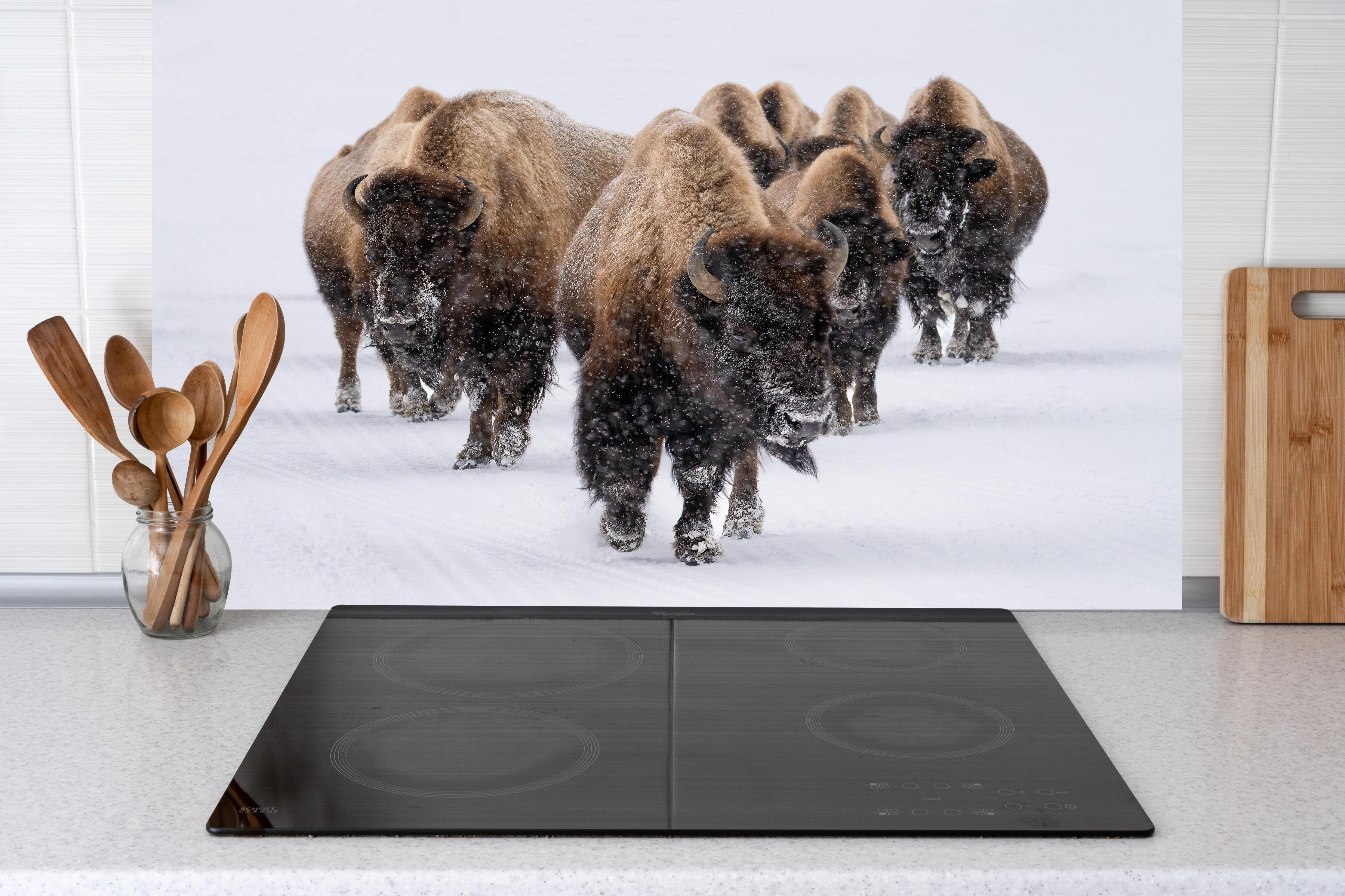 Küche - Eine Bison Herde hinter weißen Hochglanz-Küchenregalen und schwarzem Wasserhahn