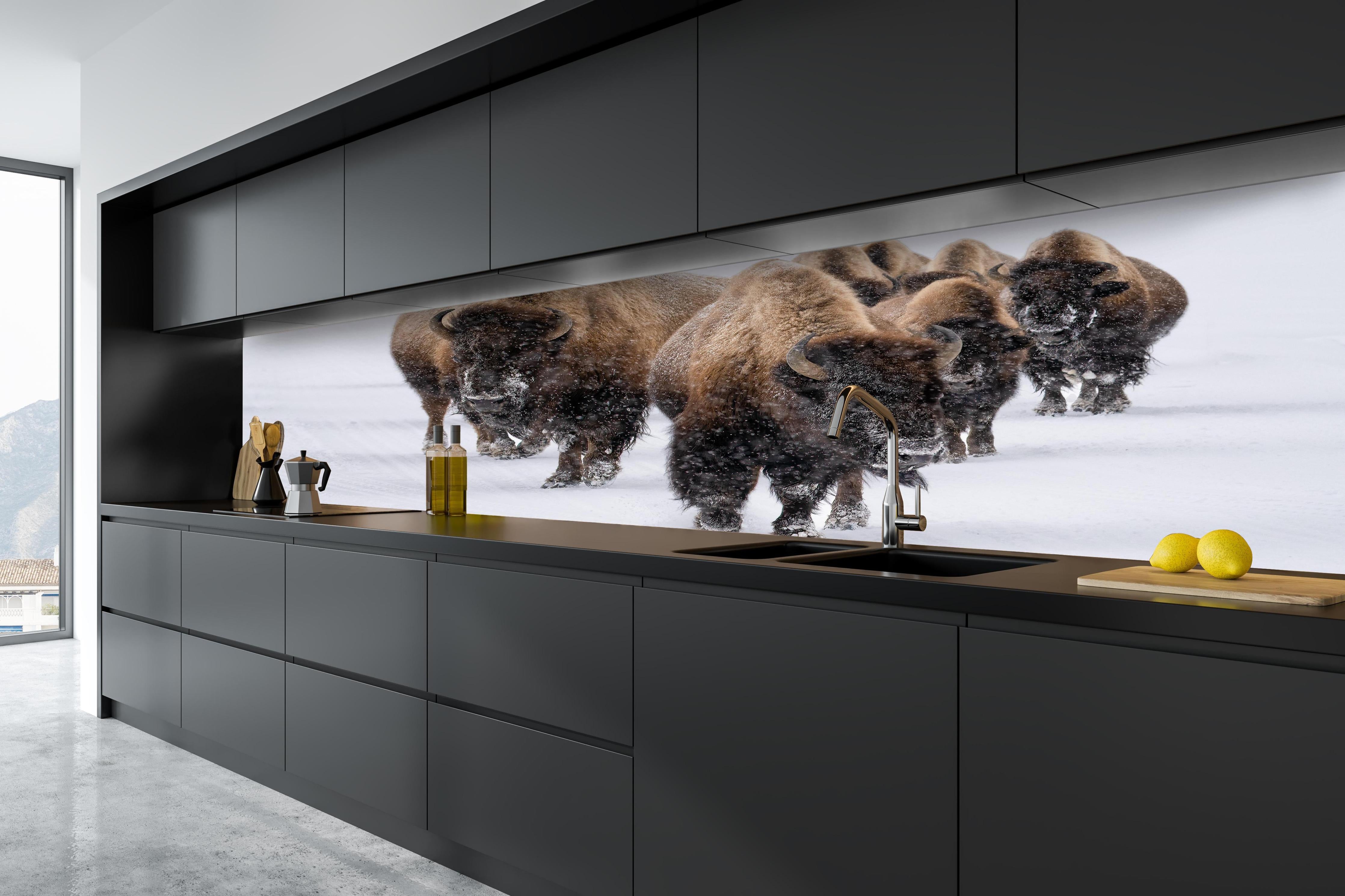 Küche - Eine Bison Herde hinter weißen Hochglanz-Küchenregalen und schwarzem Wasserhahn