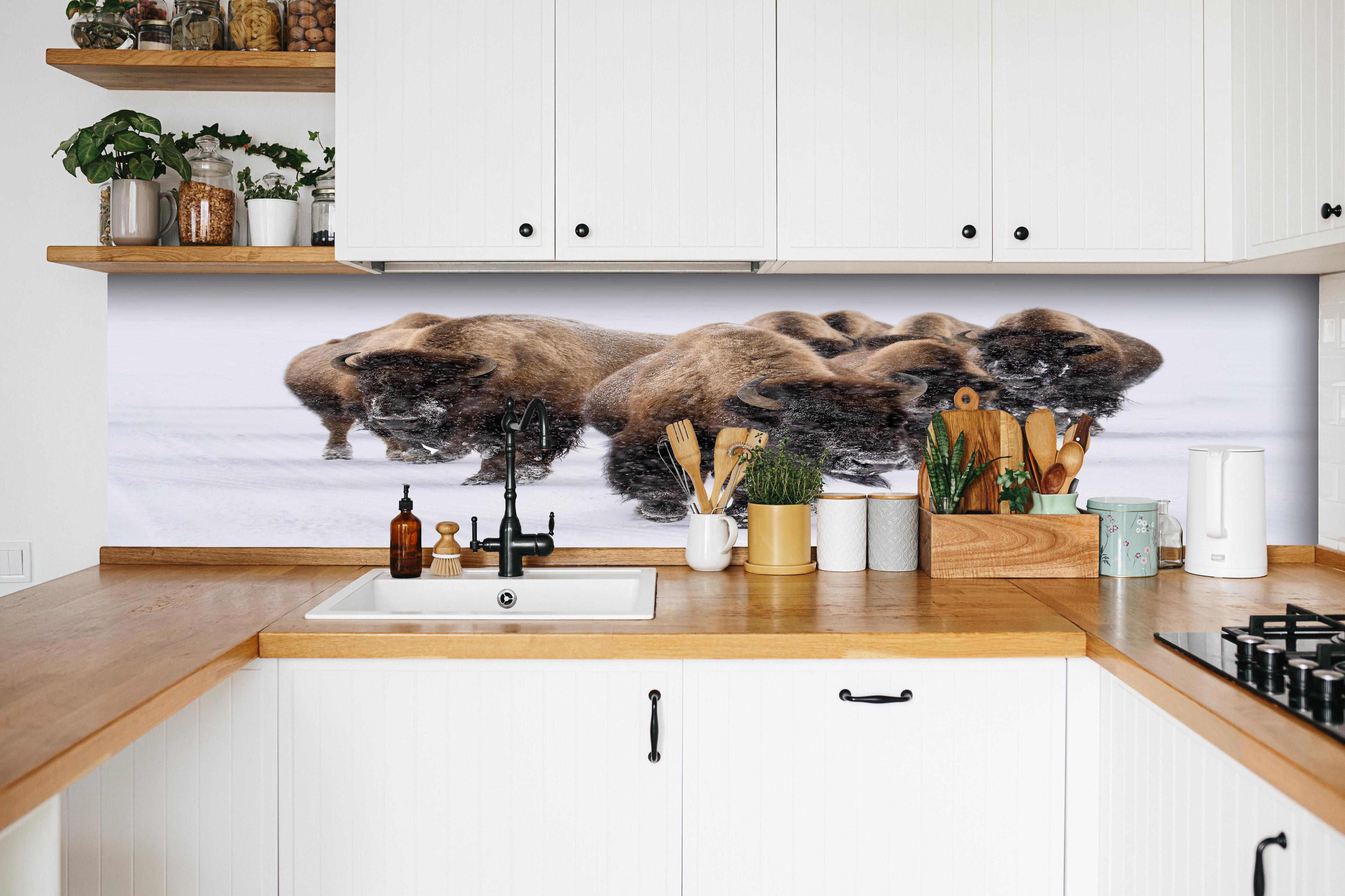 Küche - Eine Bison Herde hinter weißen Hochglanz-Küchenregalen und schwarzem Wasserhahn