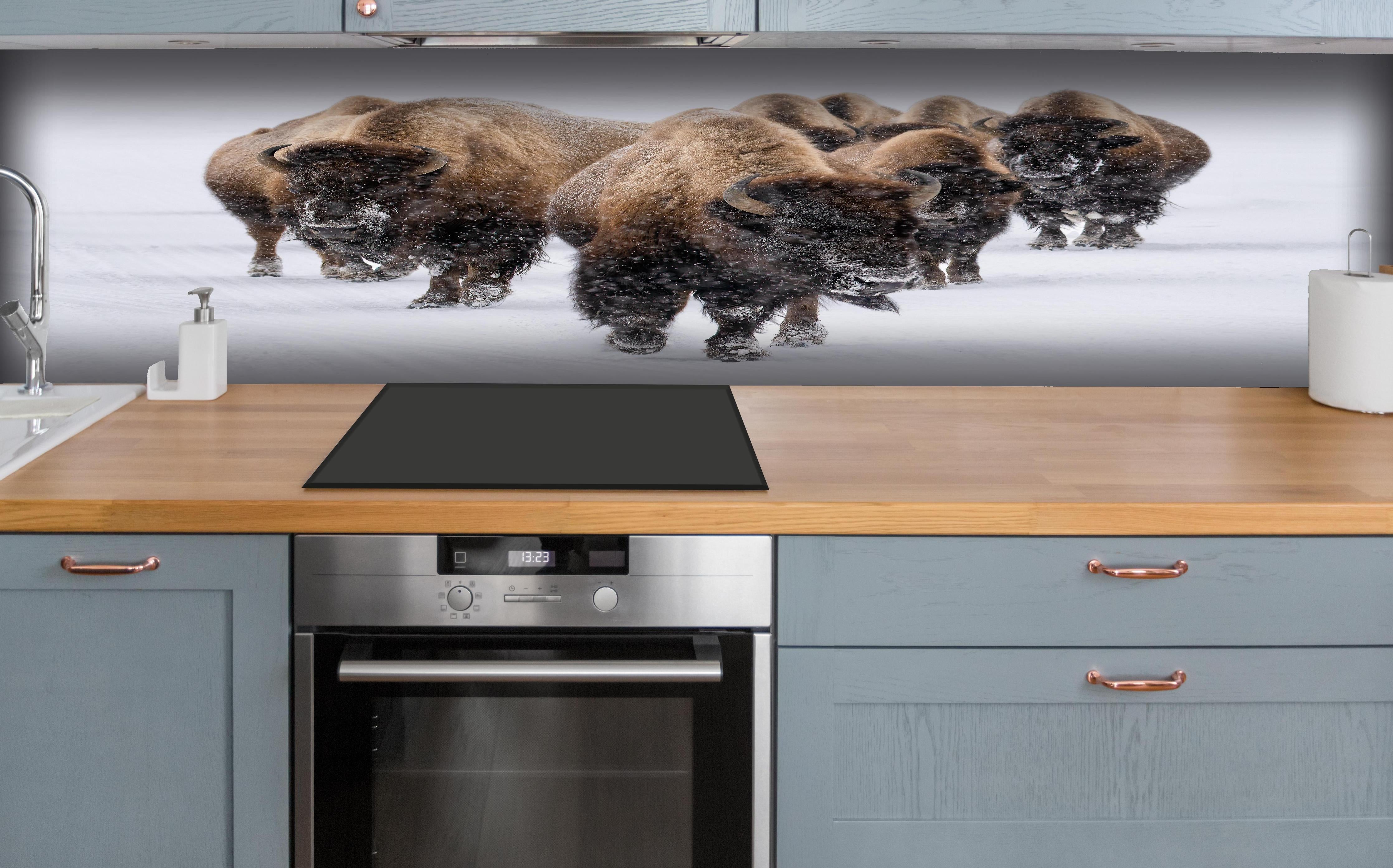 Küche - Eine Bison Herde hinter weißen Hochglanz-Küchenregalen und schwarzem Wasserhahn