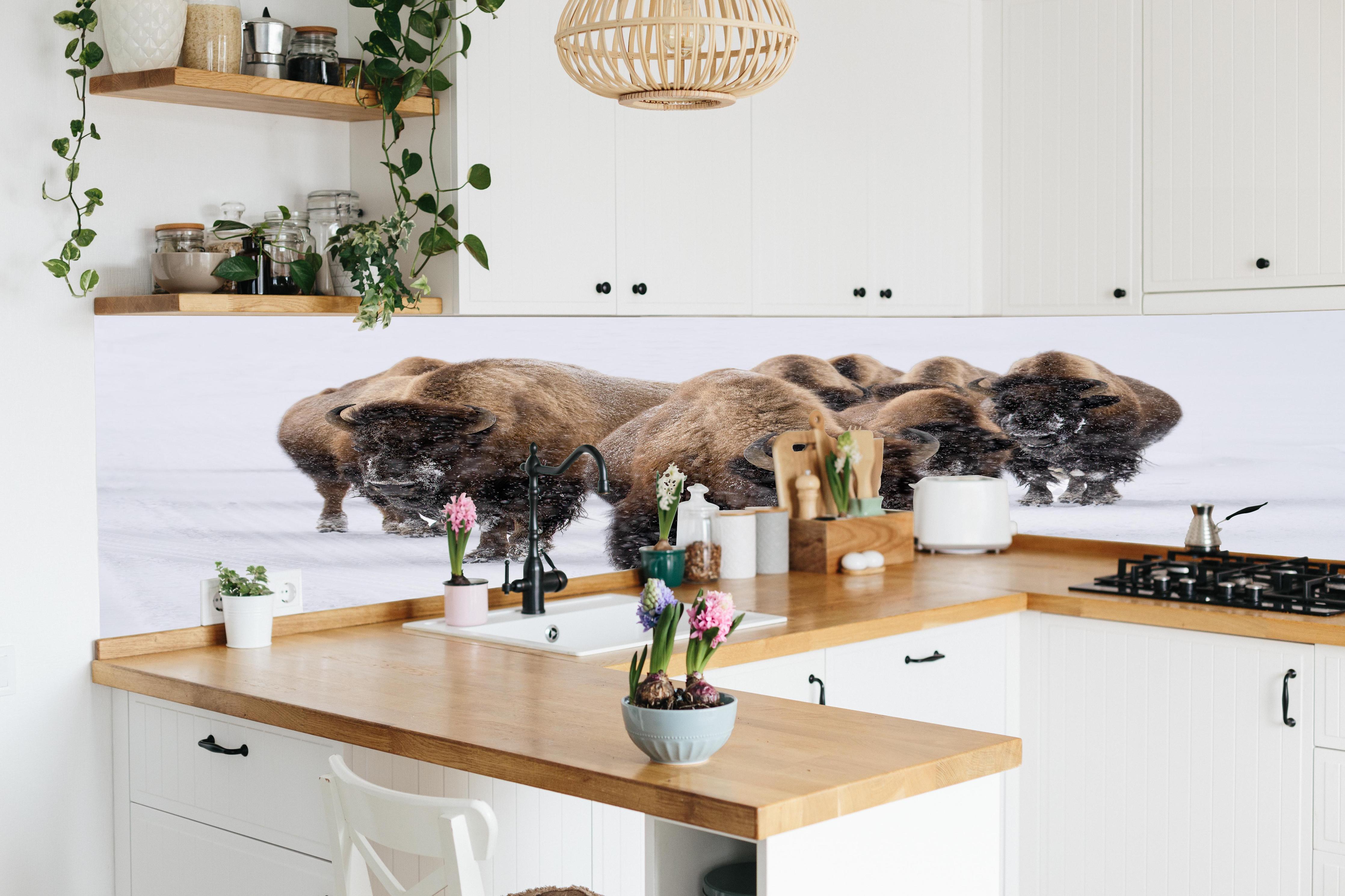 Küche - Eine Bison Herde hinter weißen Hochglanz-Küchenregalen und schwarzem Wasserhahn