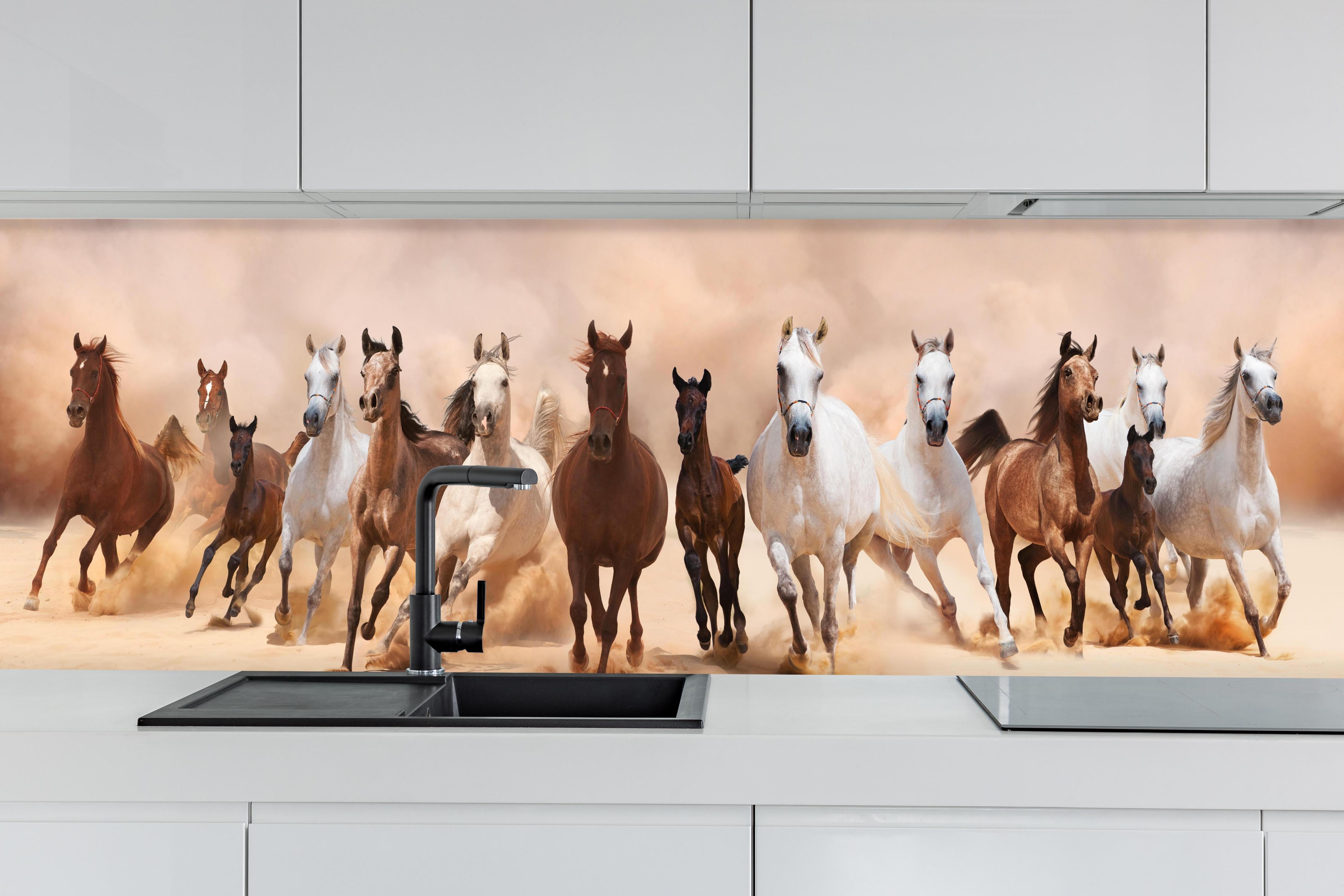 Küche - Eine Herde von Pferden hinter weißen Hochglanz-Küchenregalen und schwarzem Wasserhahn