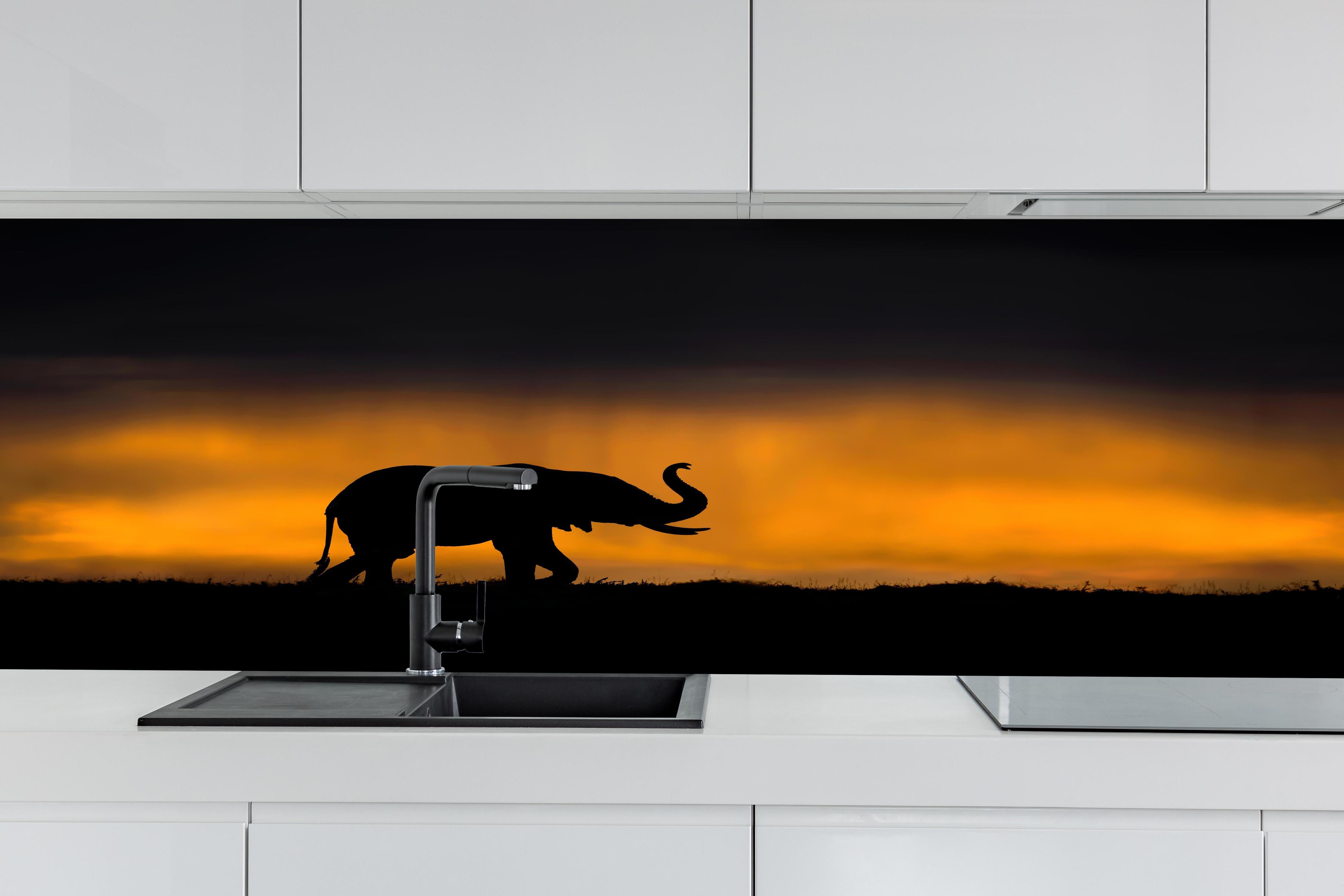 Küche - Elefant im Sturm hinter weißen Hochglanz-Küchenregalen und schwarzem Wasserhahn