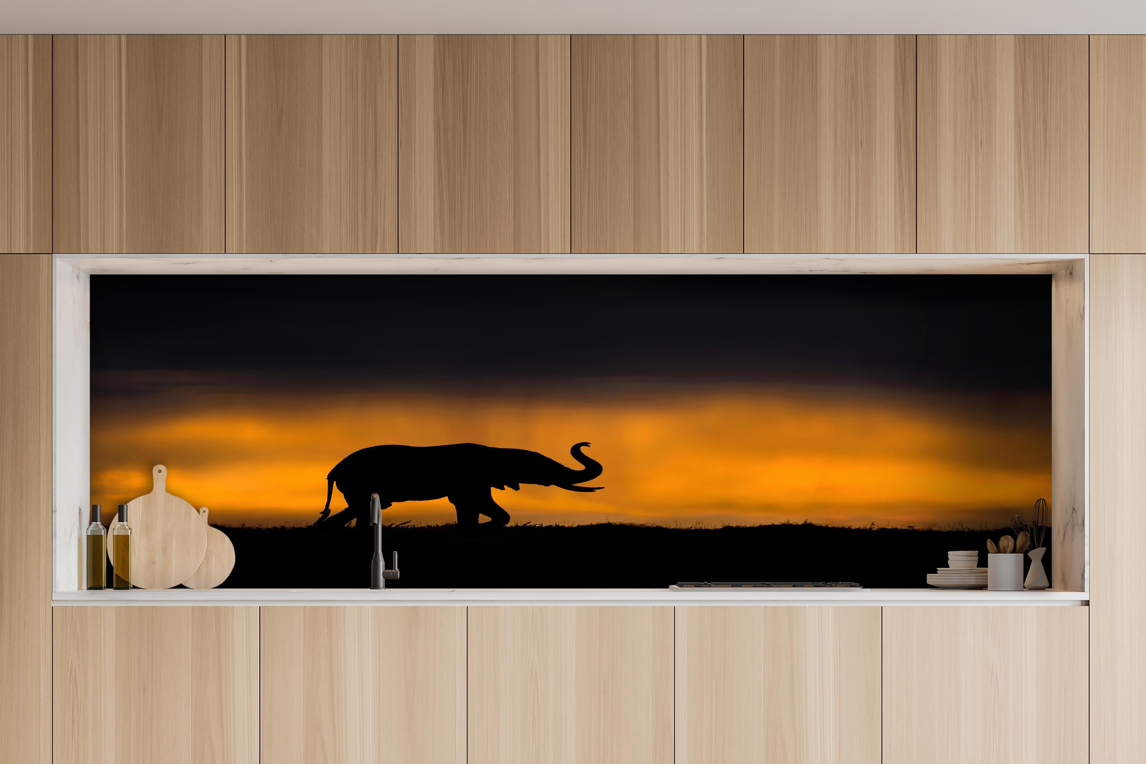 Küche - Elefant im Sturm hinter weißen Hochglanz-Küchenregalen und schwarzem Wasserhahn