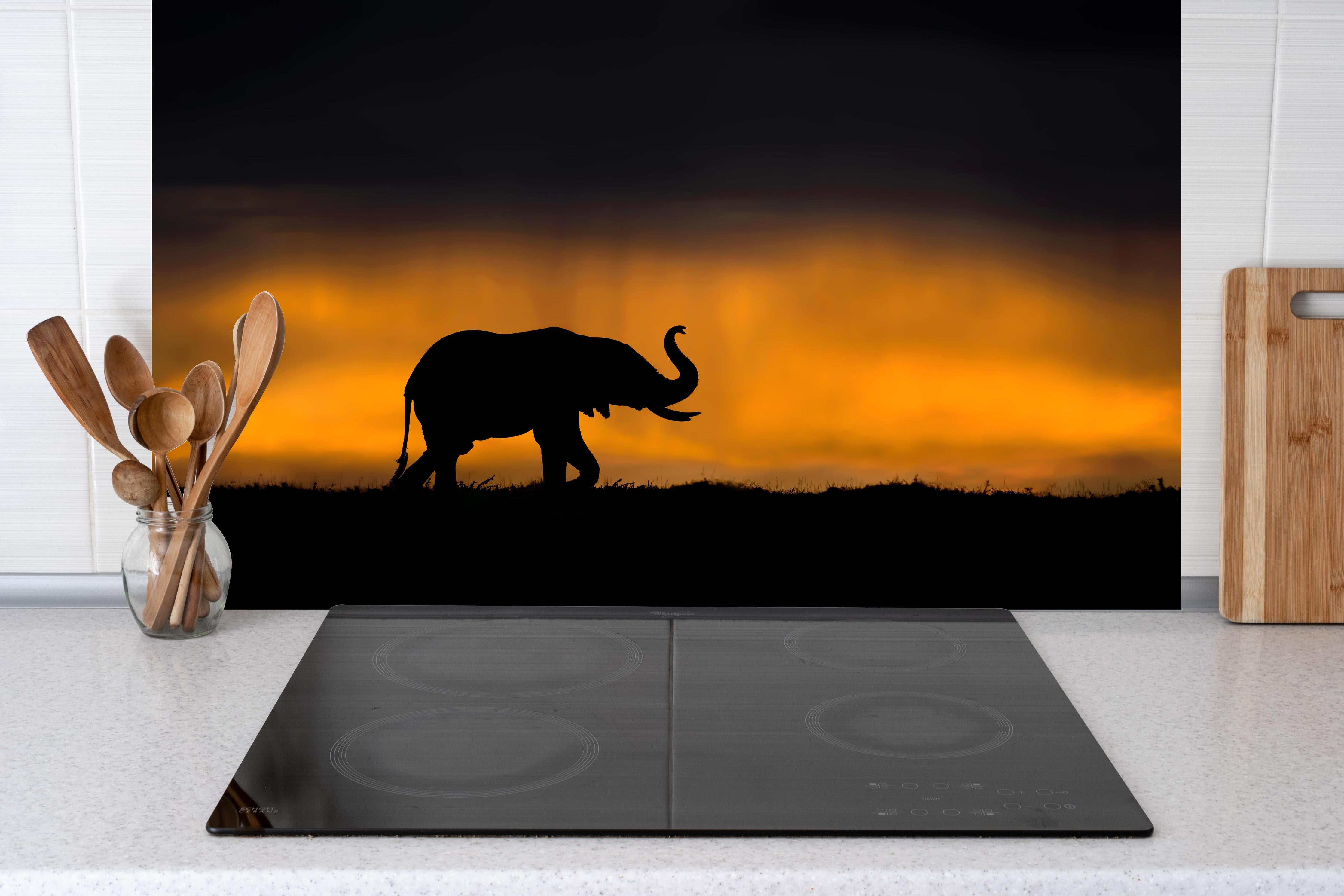 Küche - Elefant im Sturm hinter weißen Hochglanz-Küchenregalen und schwarzem Wasserhahn