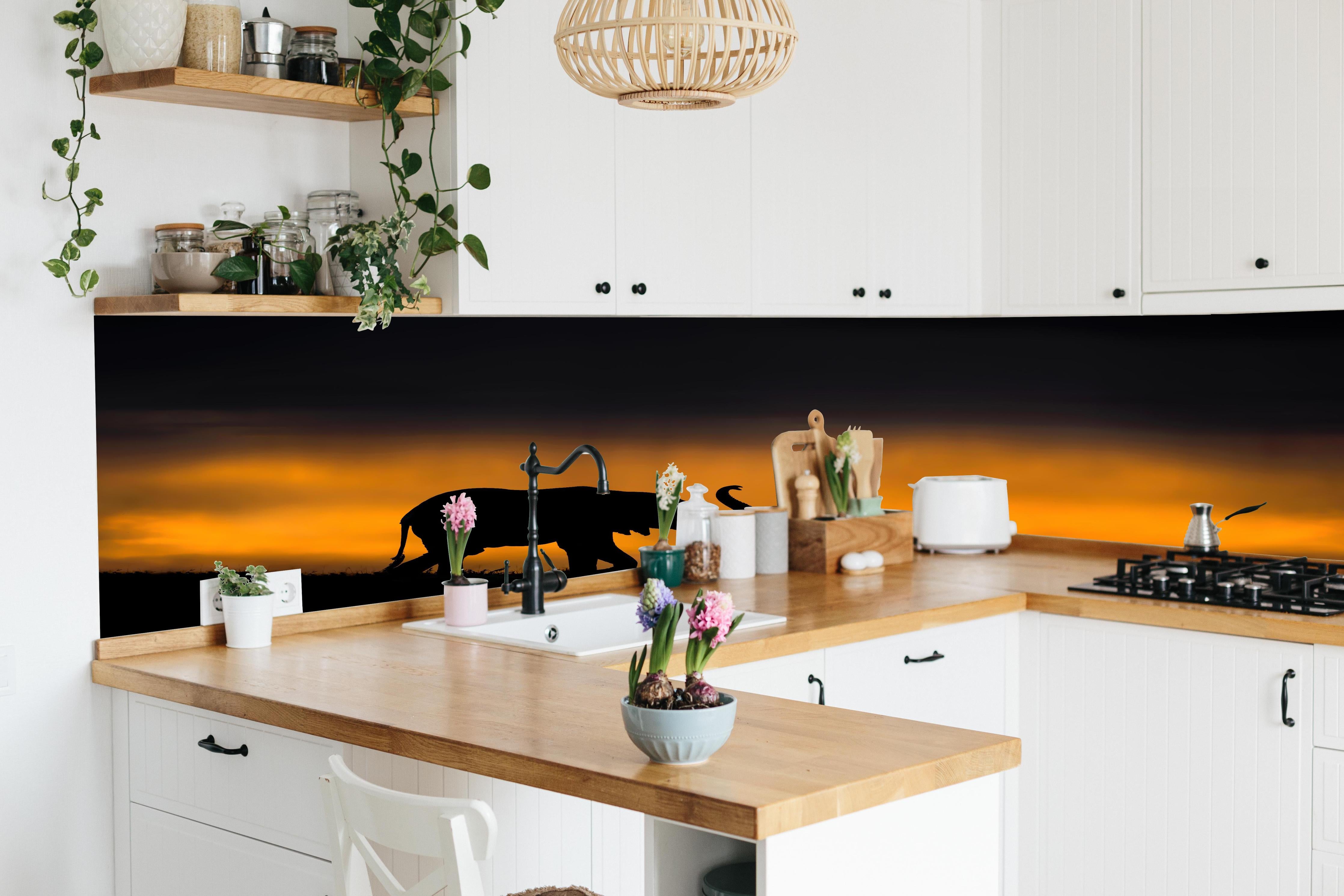 Küche - Elefant im Sturm hinter weißen Hochglanz-Küchenregalen und schwarzem Wasserhahn