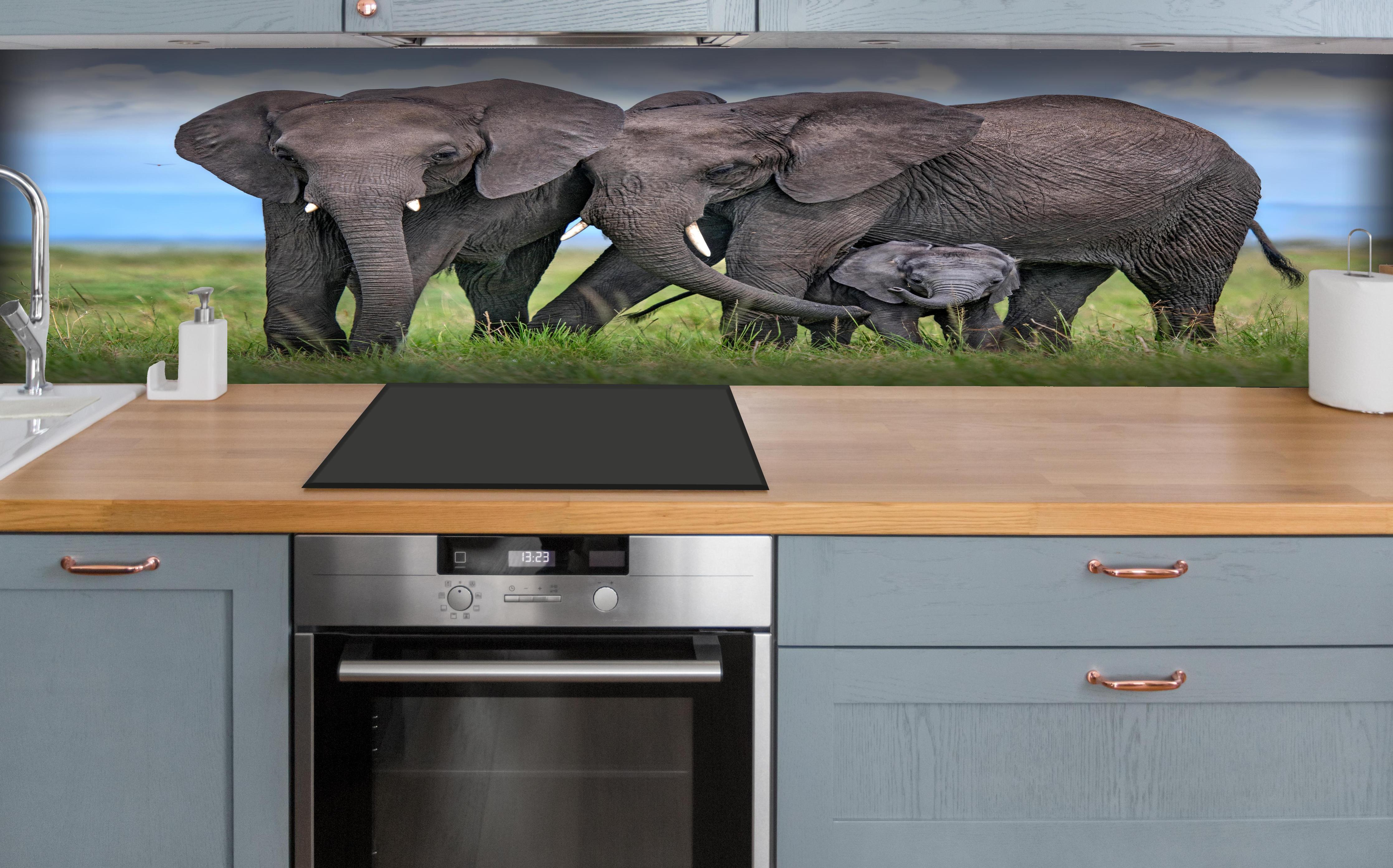 Küche - Elefanten Familie - Afrika hinter weißen Hochglanz-Küchenregalen und schwarzem Wasserhahn