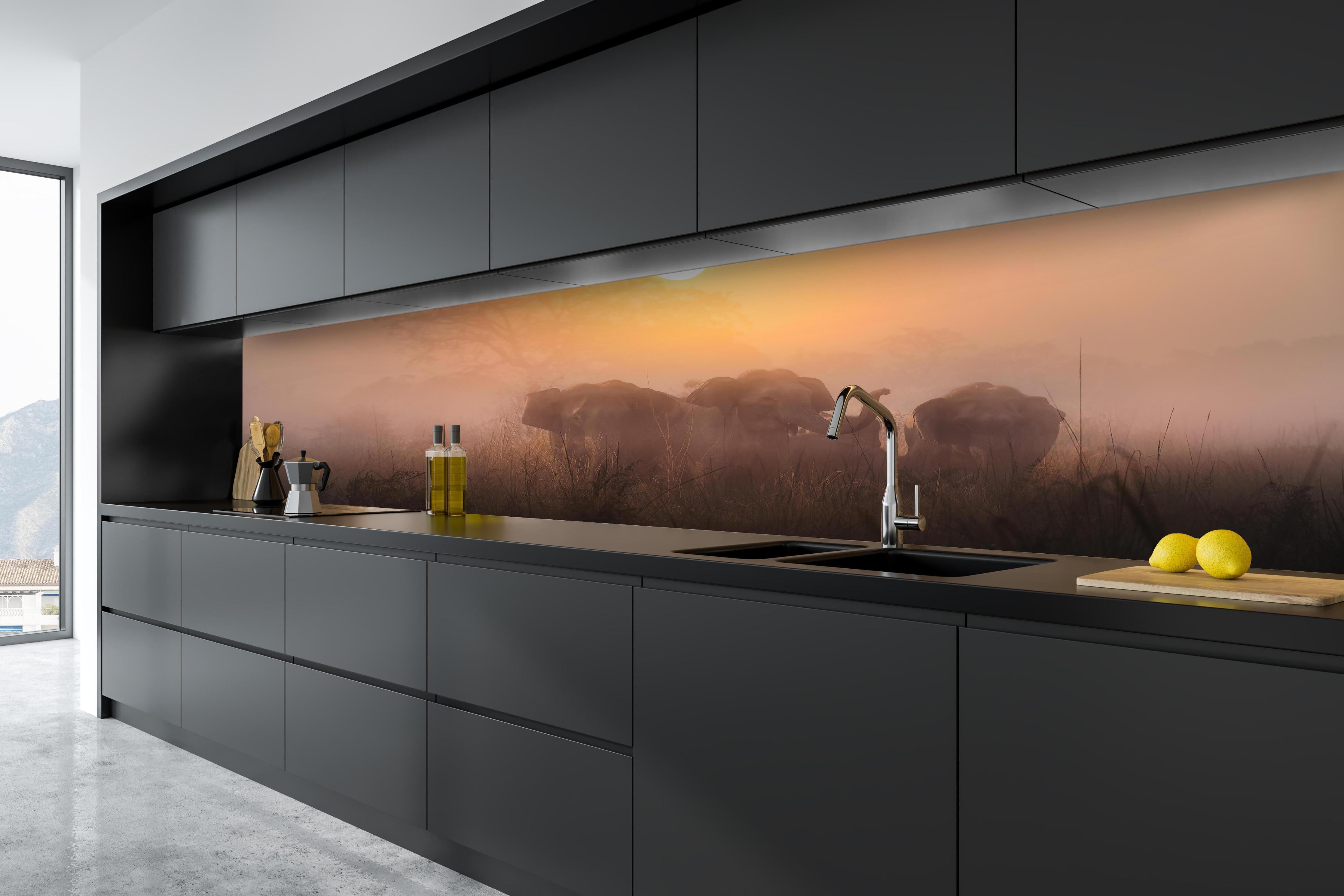 Küche - Elefanten bei Morgengrauen hinter weißen Hochglanz-Küchenregalen und schwarzem Wasserhahn