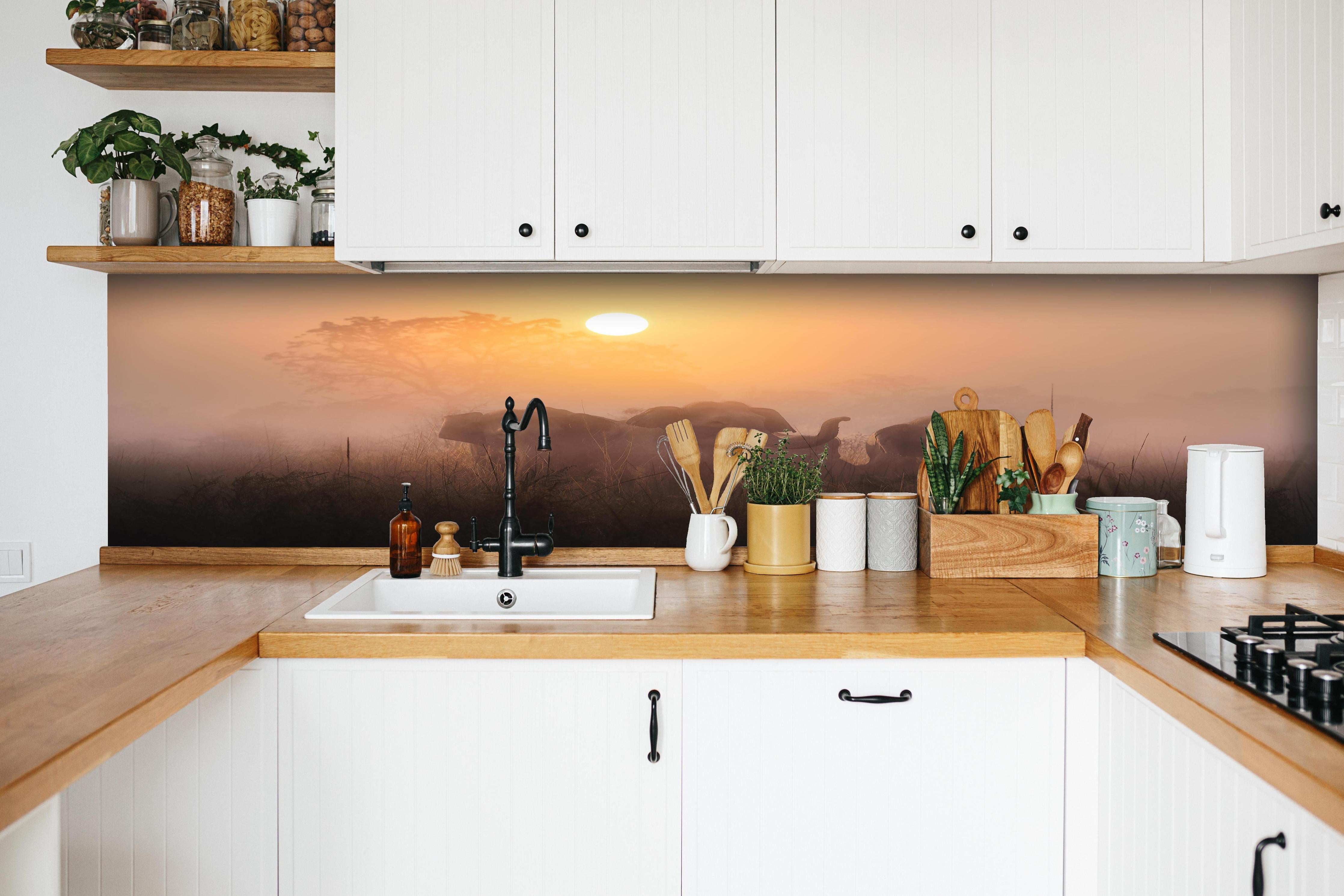 Küche - Elefanten bei Morgengrauen hinter weißen Hochglanz-Küchenregalen und schwarzem Wasserhahn