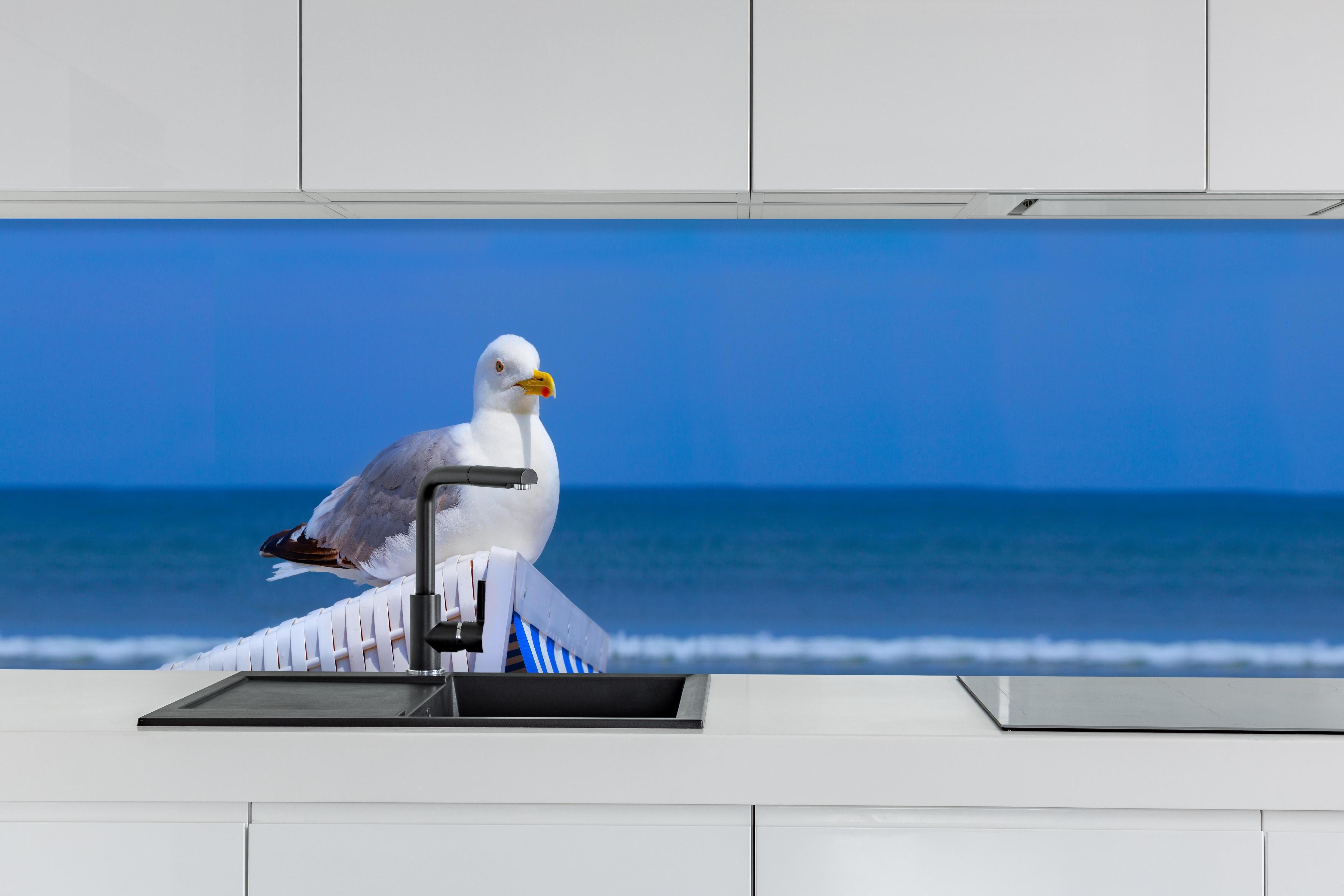 Küche - Elegante Möwe am Strand vor blauem Wasser hinter weißen Hochglanz-Küchenregalen und schwarzem Wasserhahn