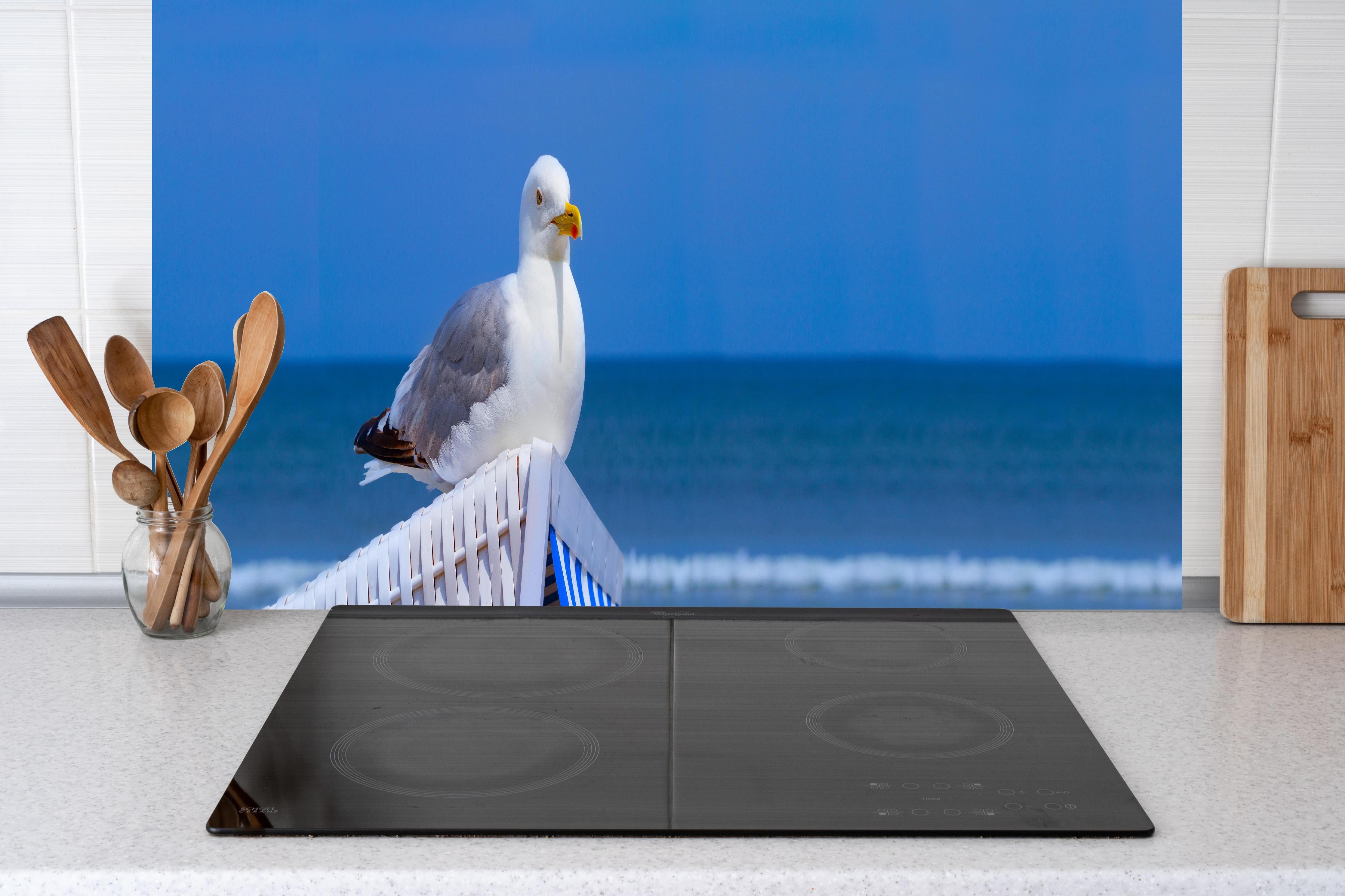 Küche - Elegante Möwe am Strand vor blauem Wasser hinter weißen Hochglanz-Küchenregalen und schwarzem Wasserhahn