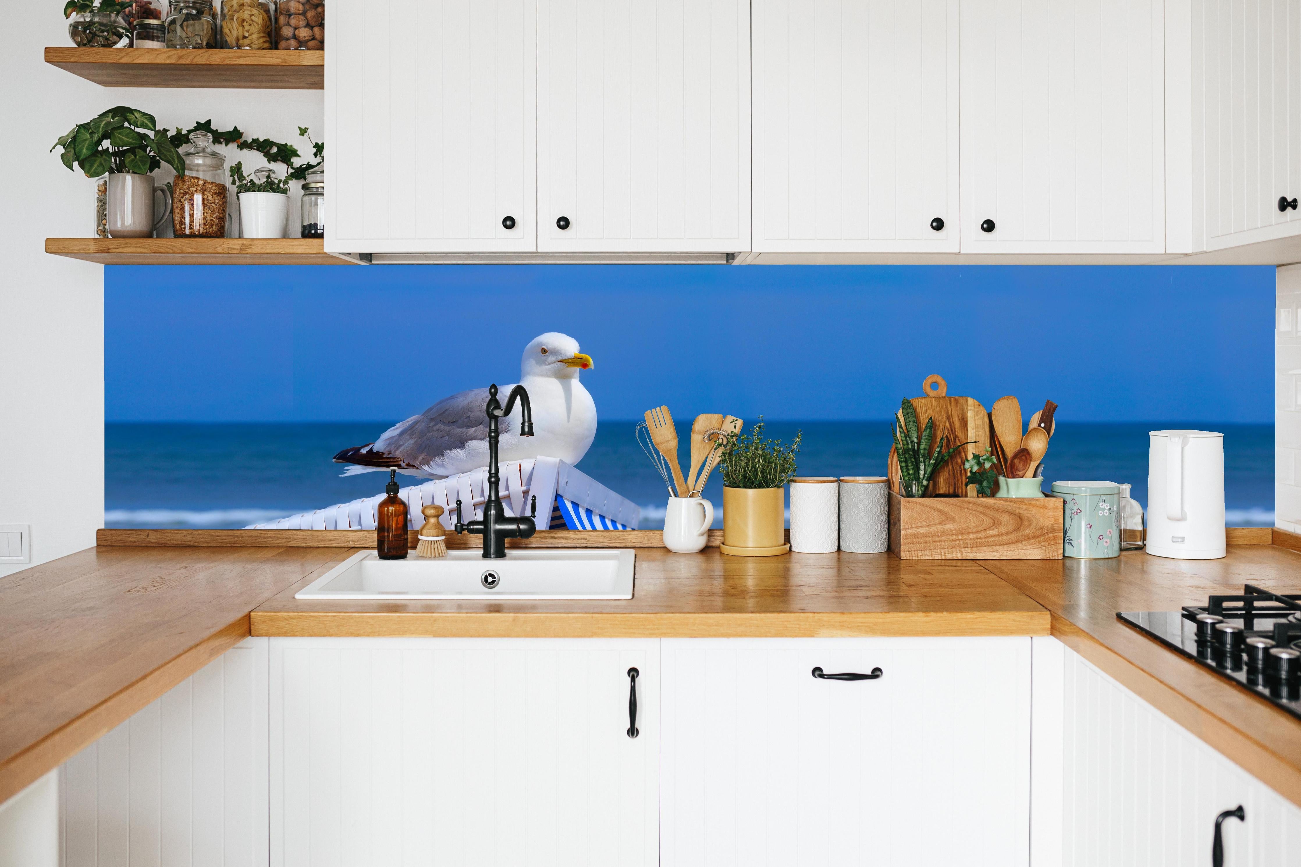 Küche - Elegante Möwe am Strand vor blauem Wasser hinter weißen Hochglanz-Küchenregalen und schwarzem Wasserhahn