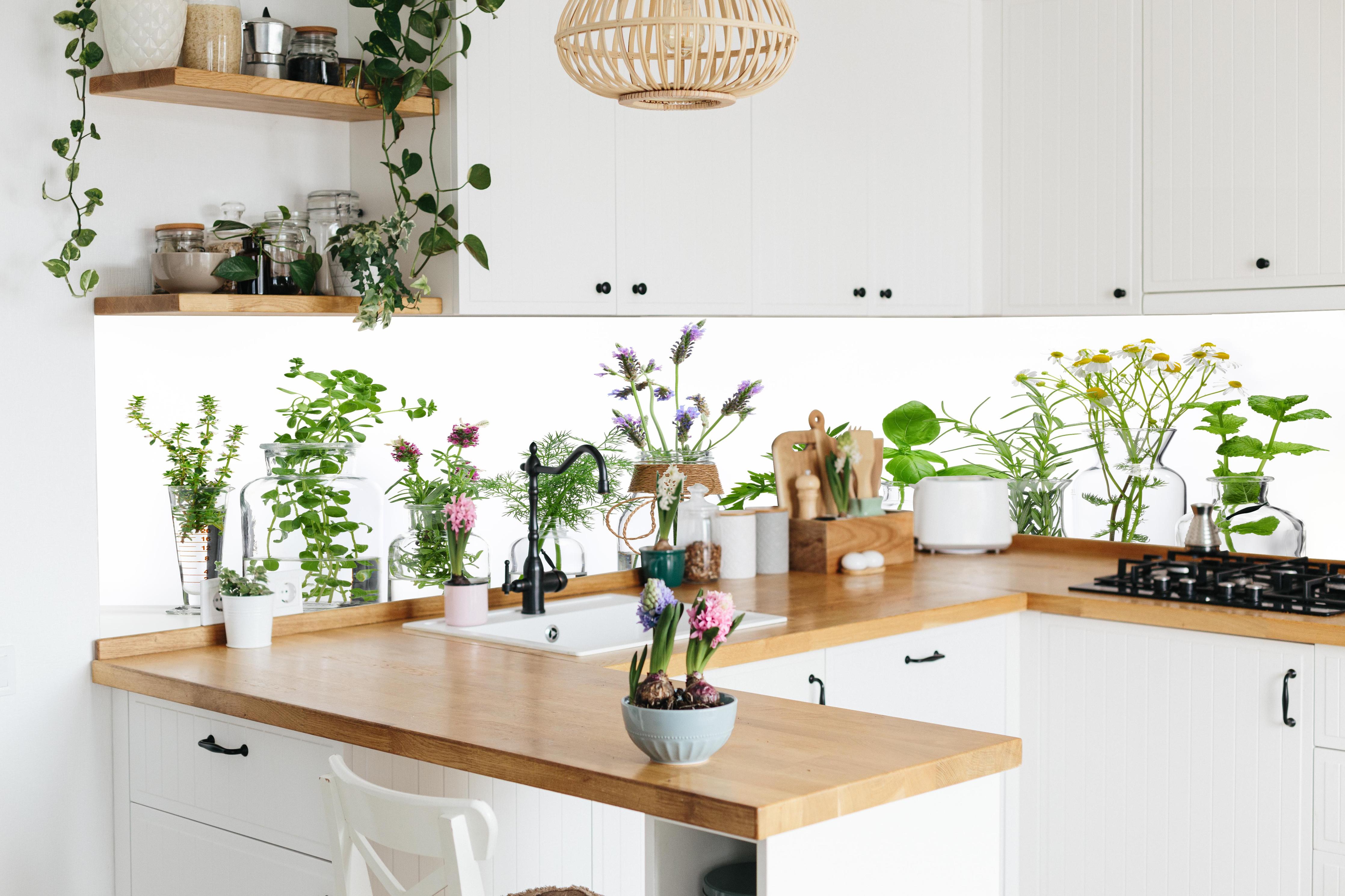 Küche - Frische Kräutervielfalt in Glasflaschen Weiß hinter weißen Hochglanz-Küchenregalen und schwarzem Wasserhahn