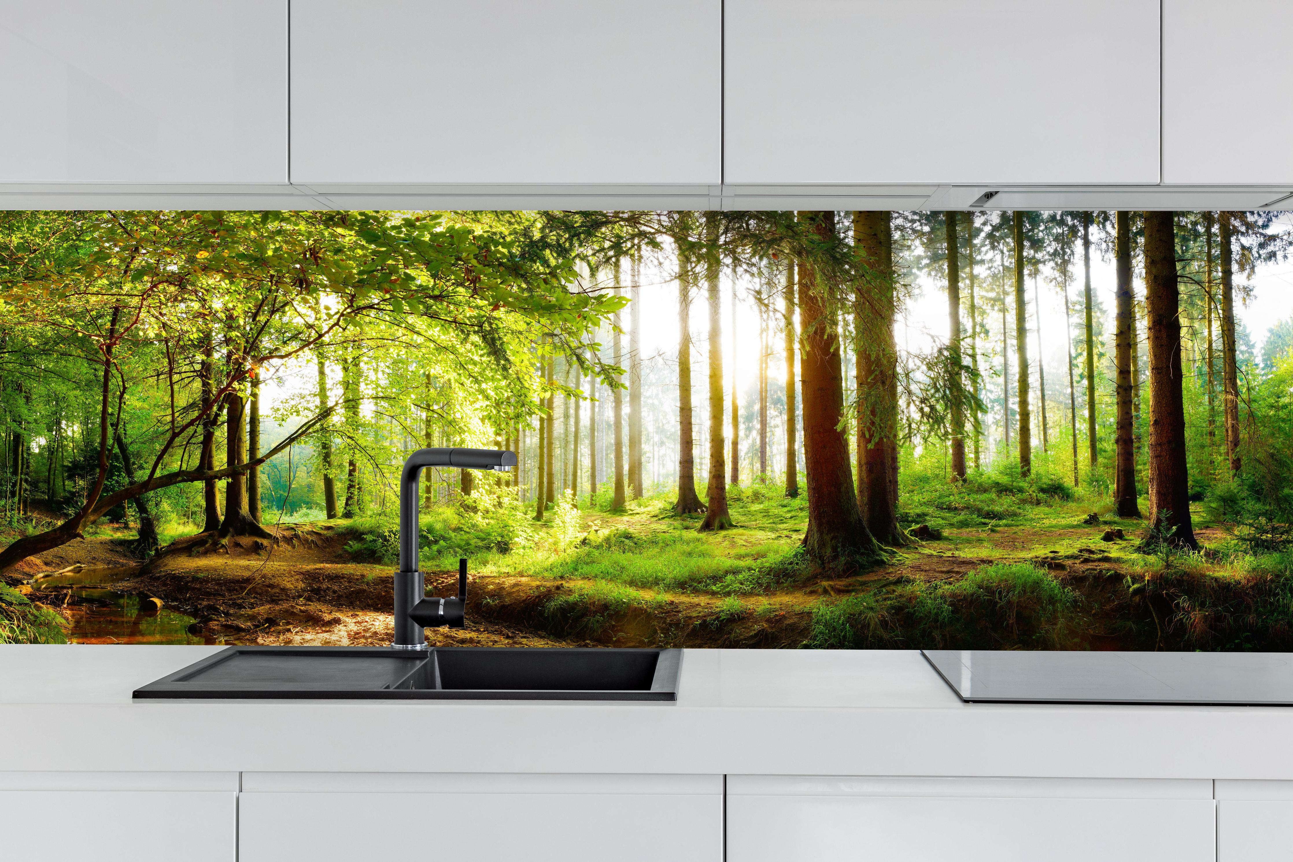 Küche - Heller Frühlingswald Sonnendurchflutet hinter weißen Hochglanz-Küchenregalen und schwarzem Wasserhahn
