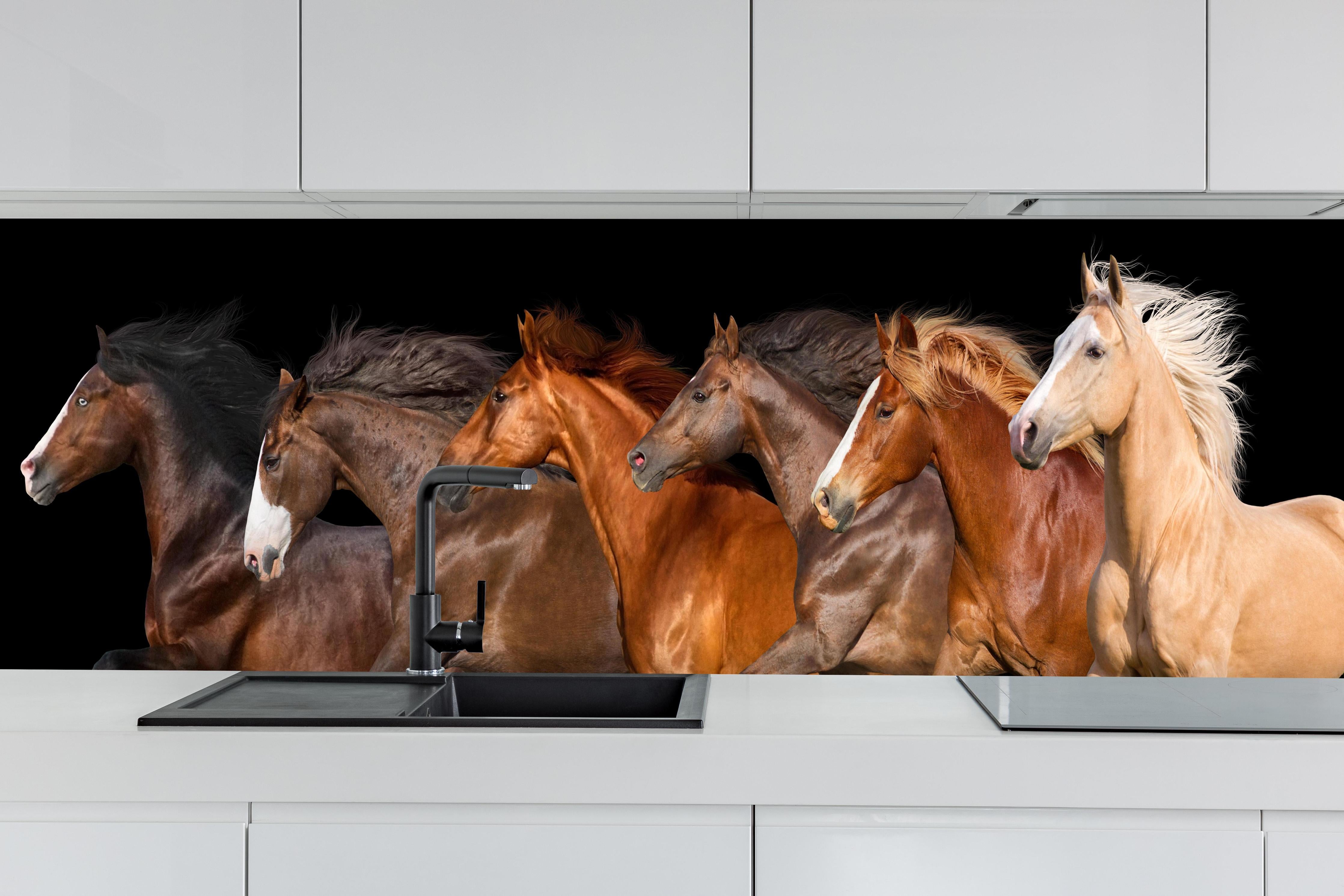 Küche - Herde galoppierender Pferde auf Schwarz hinter weißen Hochglanz-Küchenregalen und schwarzem Wasserhahn