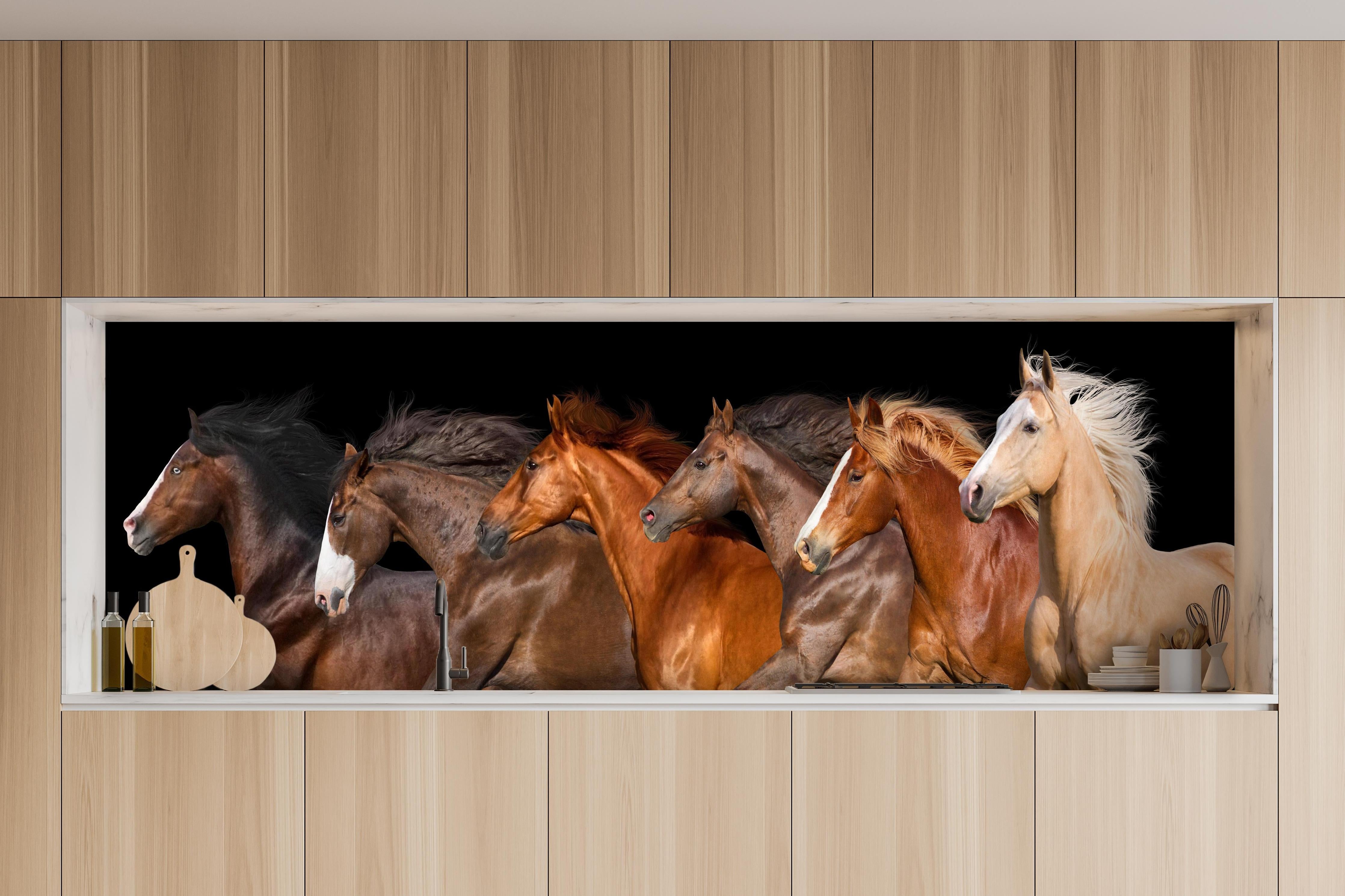 Küche - Herde galoppierender Pferde auf Schwarz hinter weißen Hochglanz-Küchenregalen und schwarzem Wasserhahn