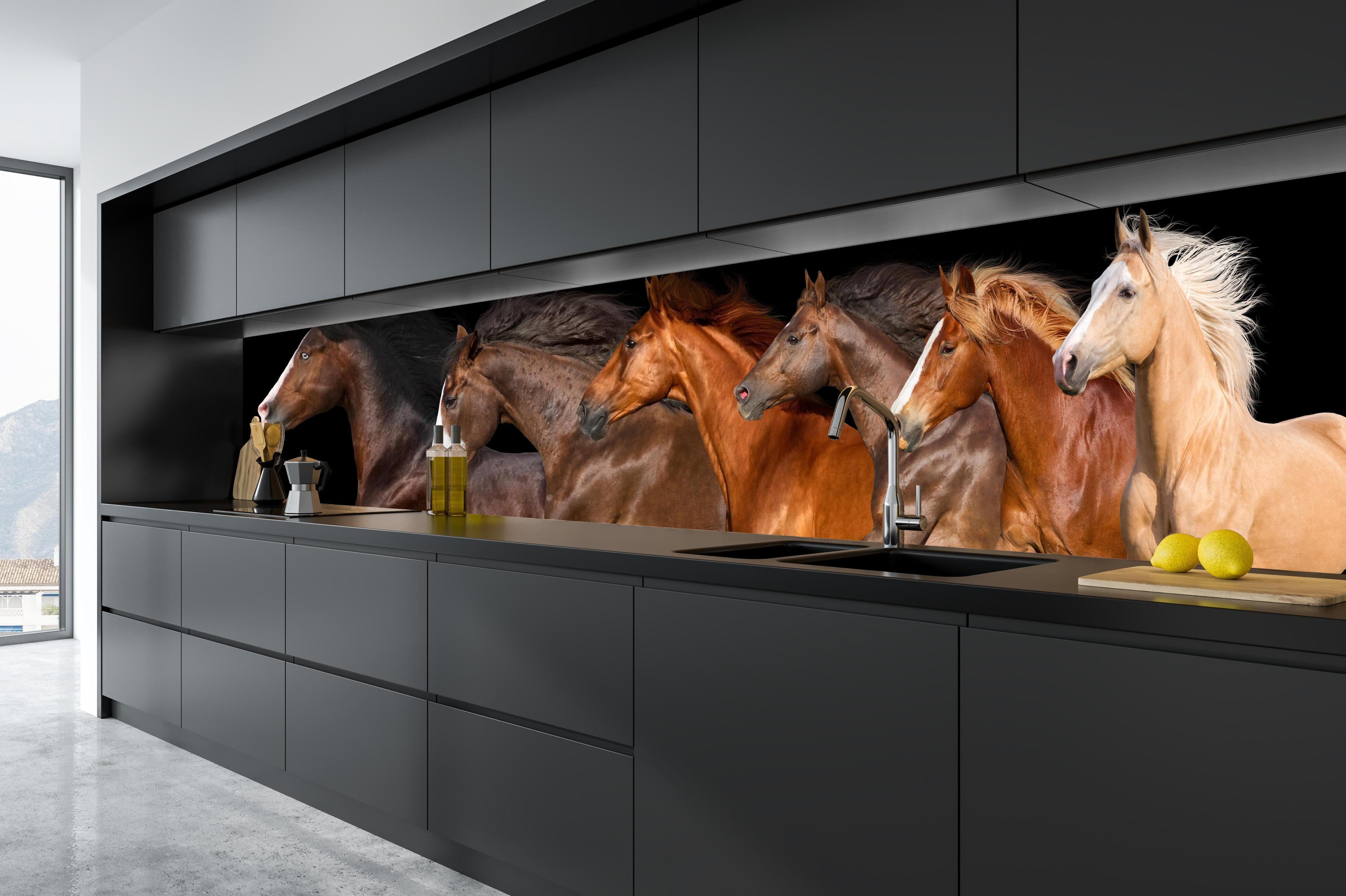 Küche - Herde galoppierender Pferde auf Schwarz hinter weißen Hochglanz-Küchenregalen und schwarzem Wasserhahn