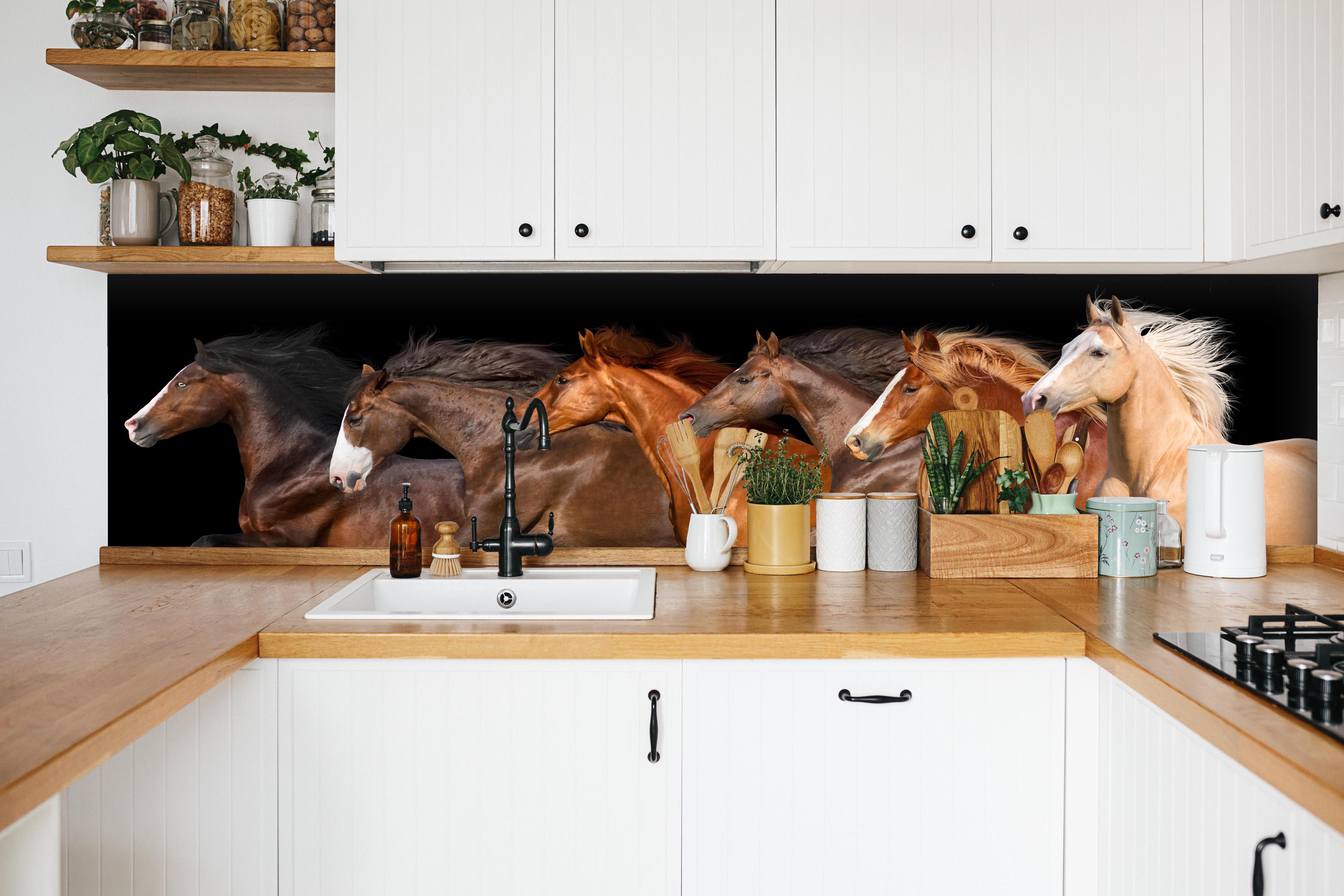 Küche - Herde galoppierender Pferde auf Schwarz hinter weißen Hochglanz-Küchenregalen und schwarzem Wasserhahn