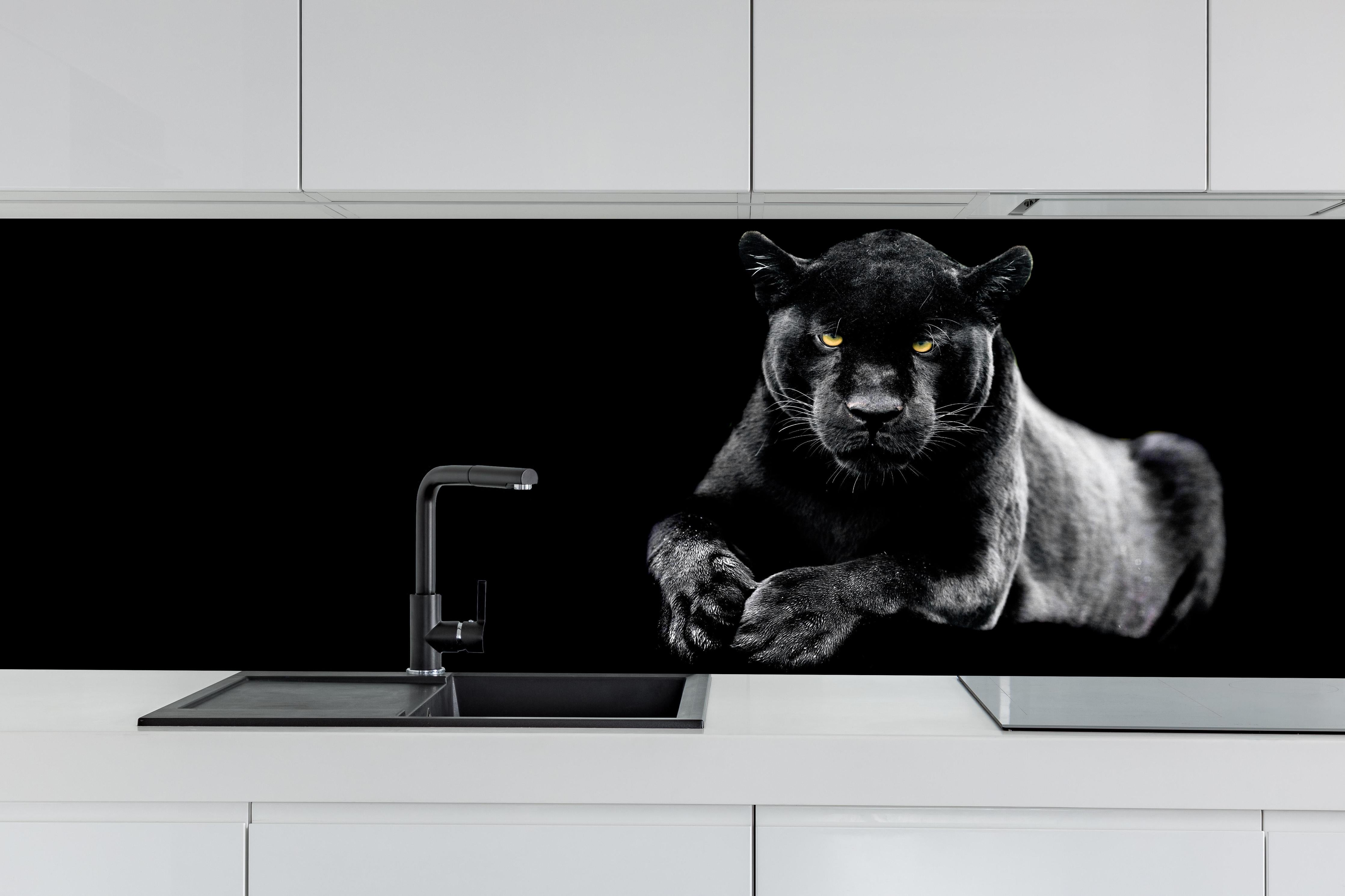 Küche - Jaguar auf schwarzem Hintergrund hinter weißen Hochglanz-Küchenregalen und schwarzem Wasserhahn
