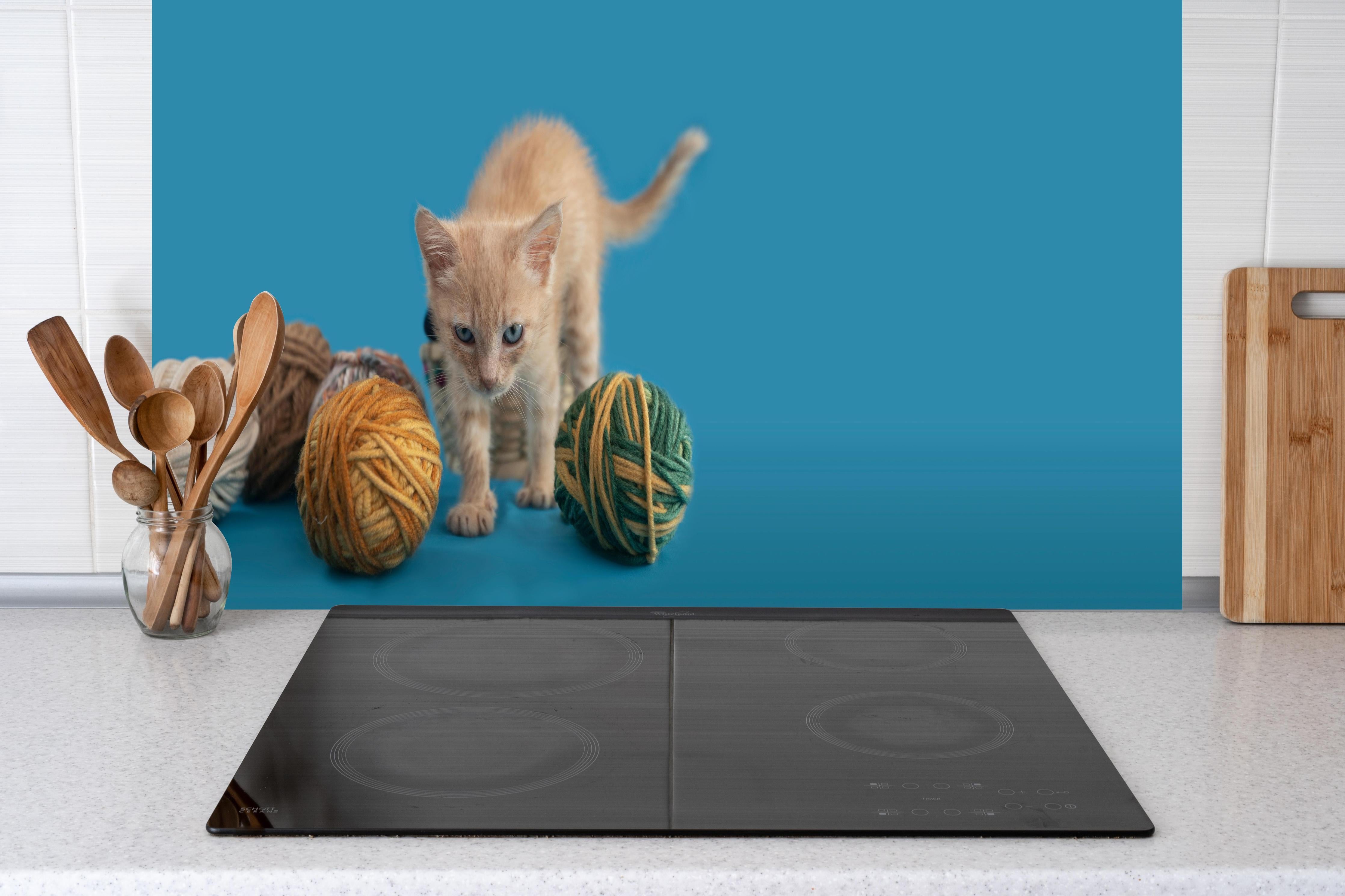 Küche - Katzenbaby spielt mit Wollknollen hinter weißen Hochglanz-Küchenregalen und schwarzem Wasserhahn