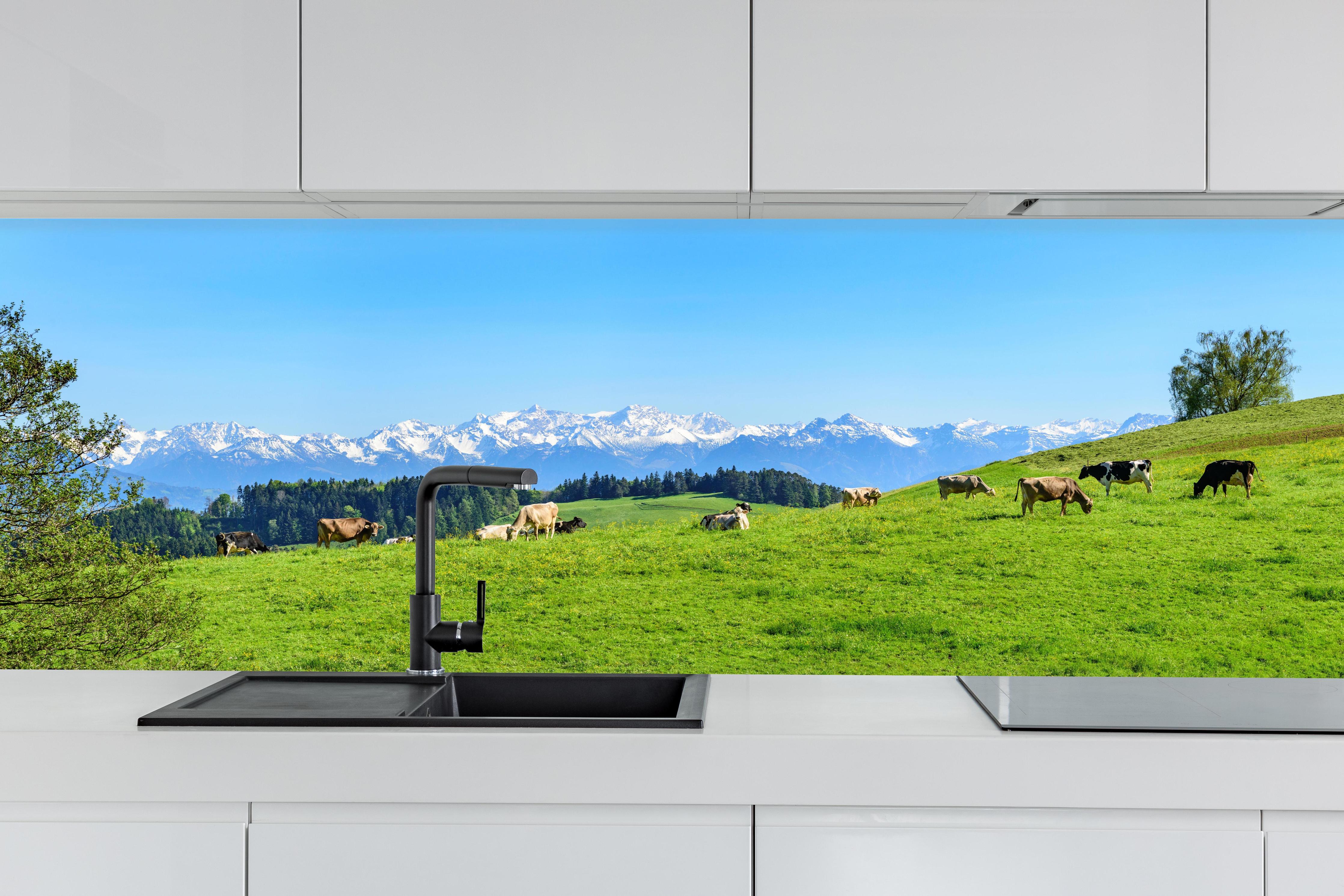 Küche - Almwiese mit Kühen und Alpenblick hinter weißen Hochglanz-Küchenregalen und schwarzem Wasserhahn