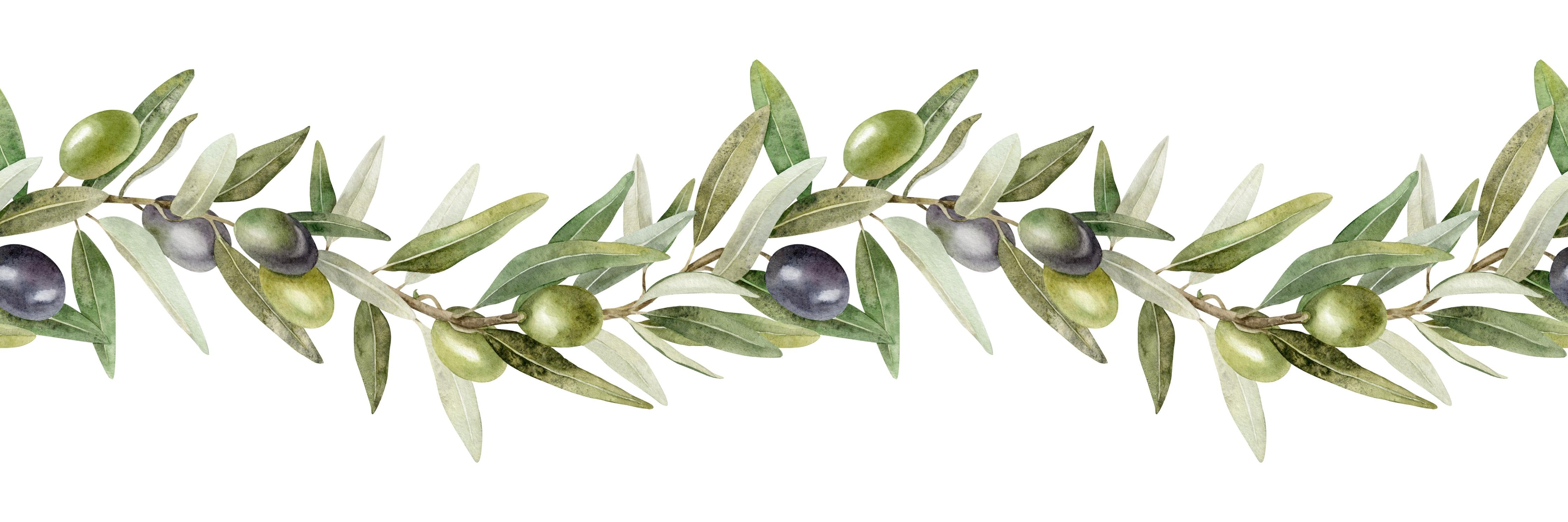 Küchenrückwand-Aquarell Olivenzweig Weiß-Grün