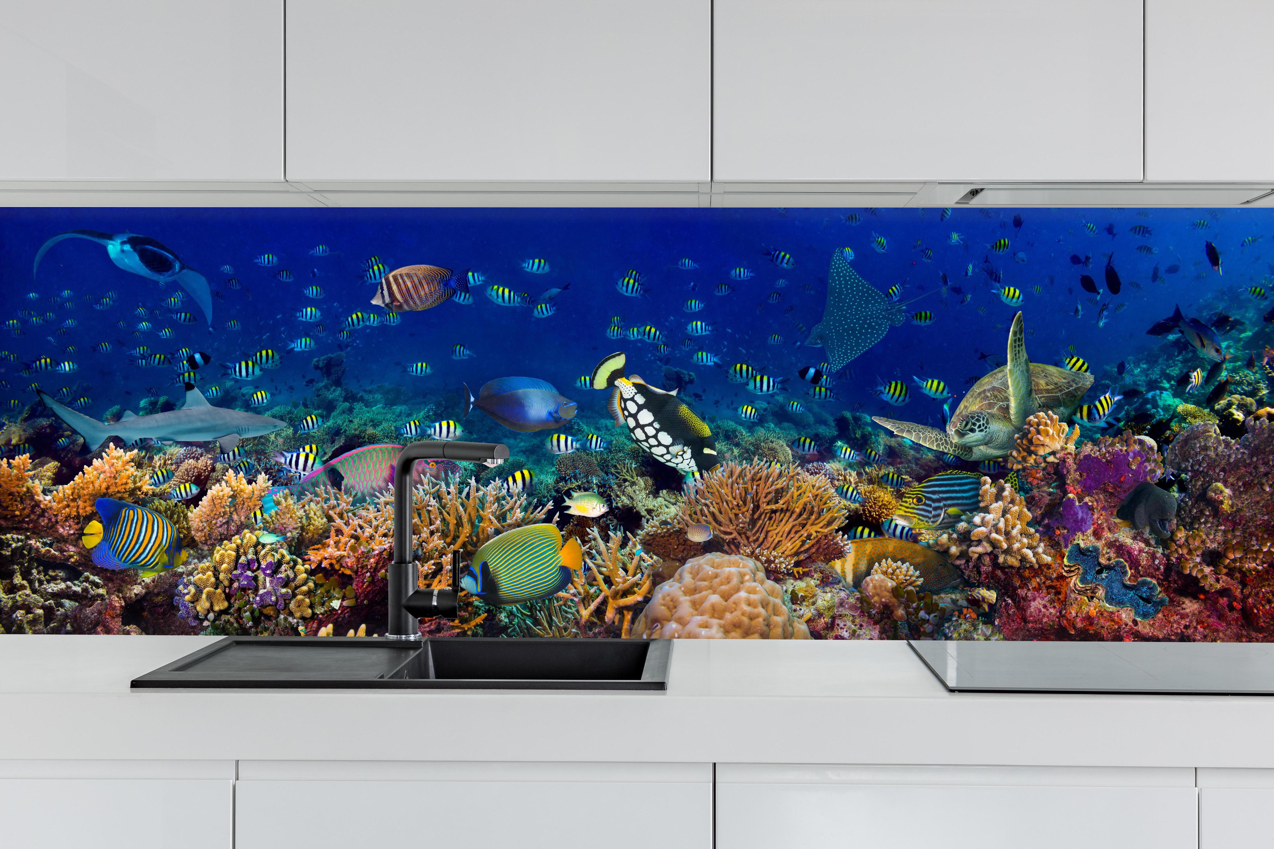 Küche - Buntes Korallenriff Blau-Türkis hinter weißen Hochglanz-Küchenregalen und schwarzem Wasserhahn