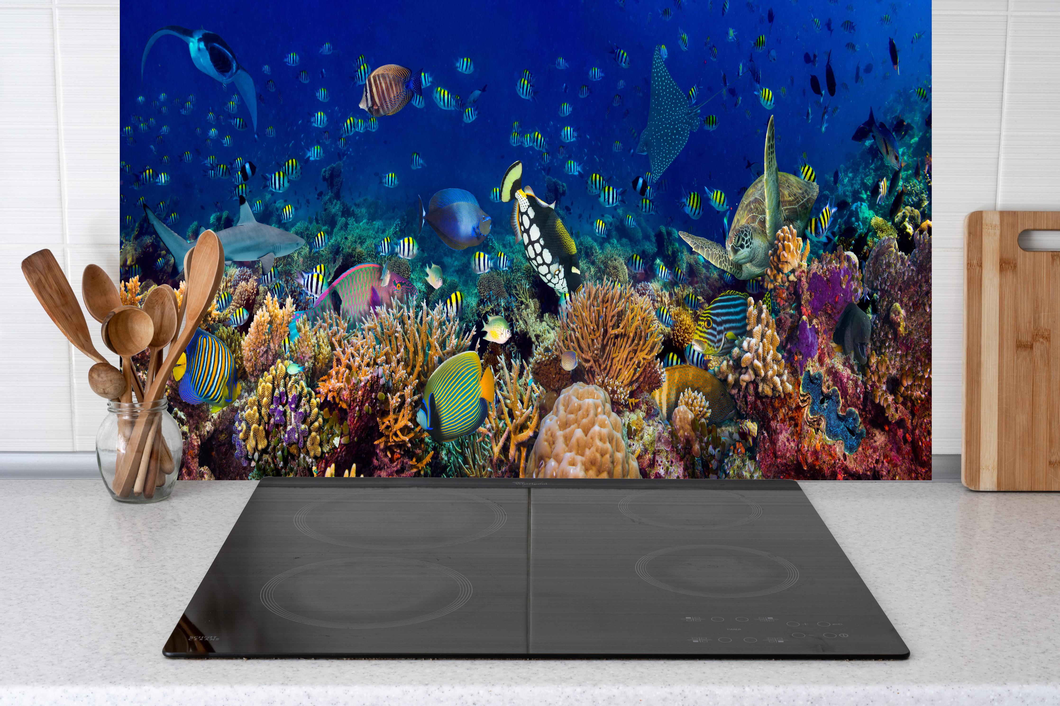 Küche - Buntes Korallenriff Blau-Türkis hinter Cerankochfeld und Holz-Kochutensilien