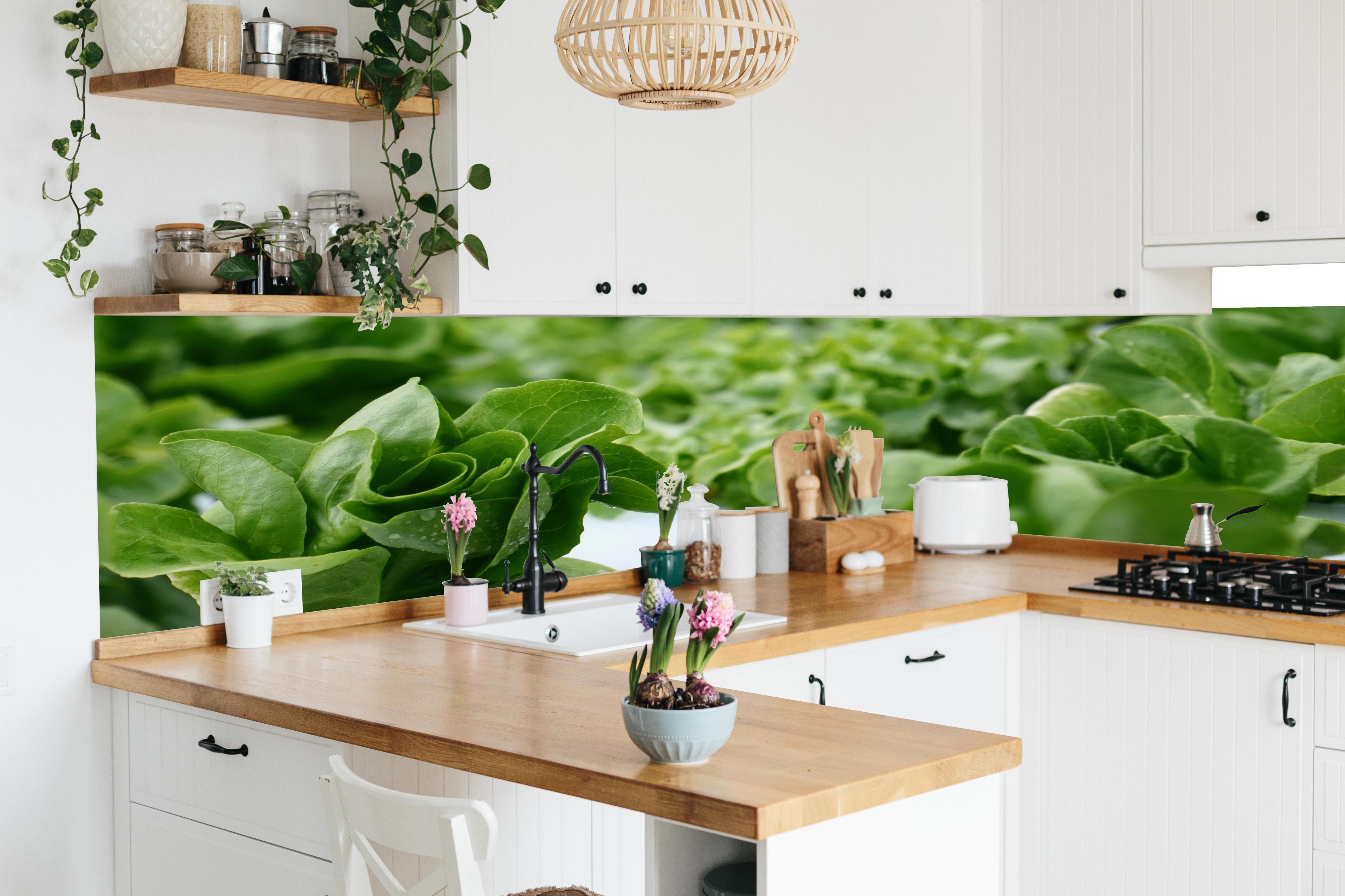 Küche - Frische Grüne Salatblätter in lebendiger Küche mit bunten Blumen