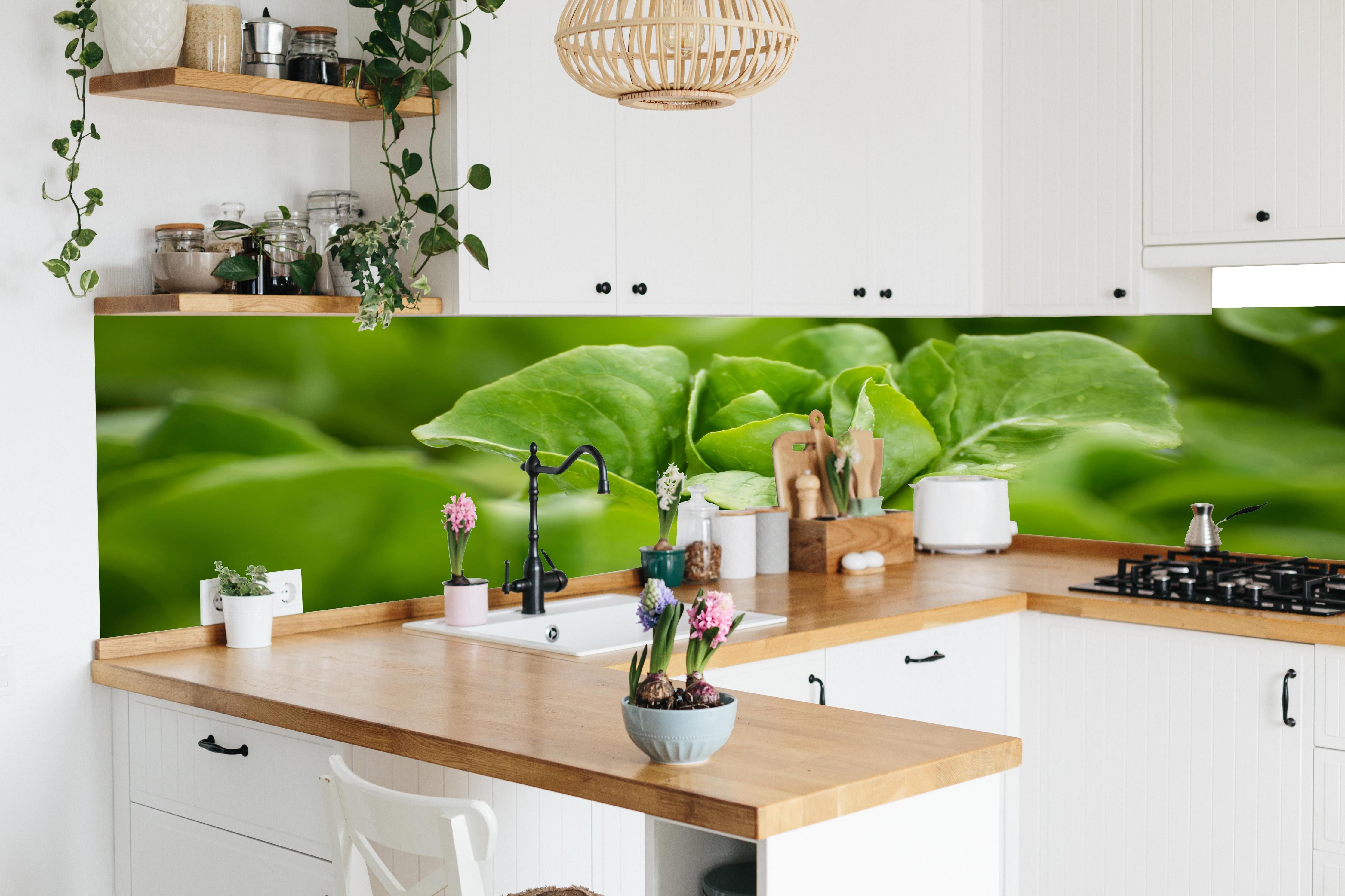 Küche - Frischer Feldsalat Grün in lebendiger Küche mit bunten Blumen