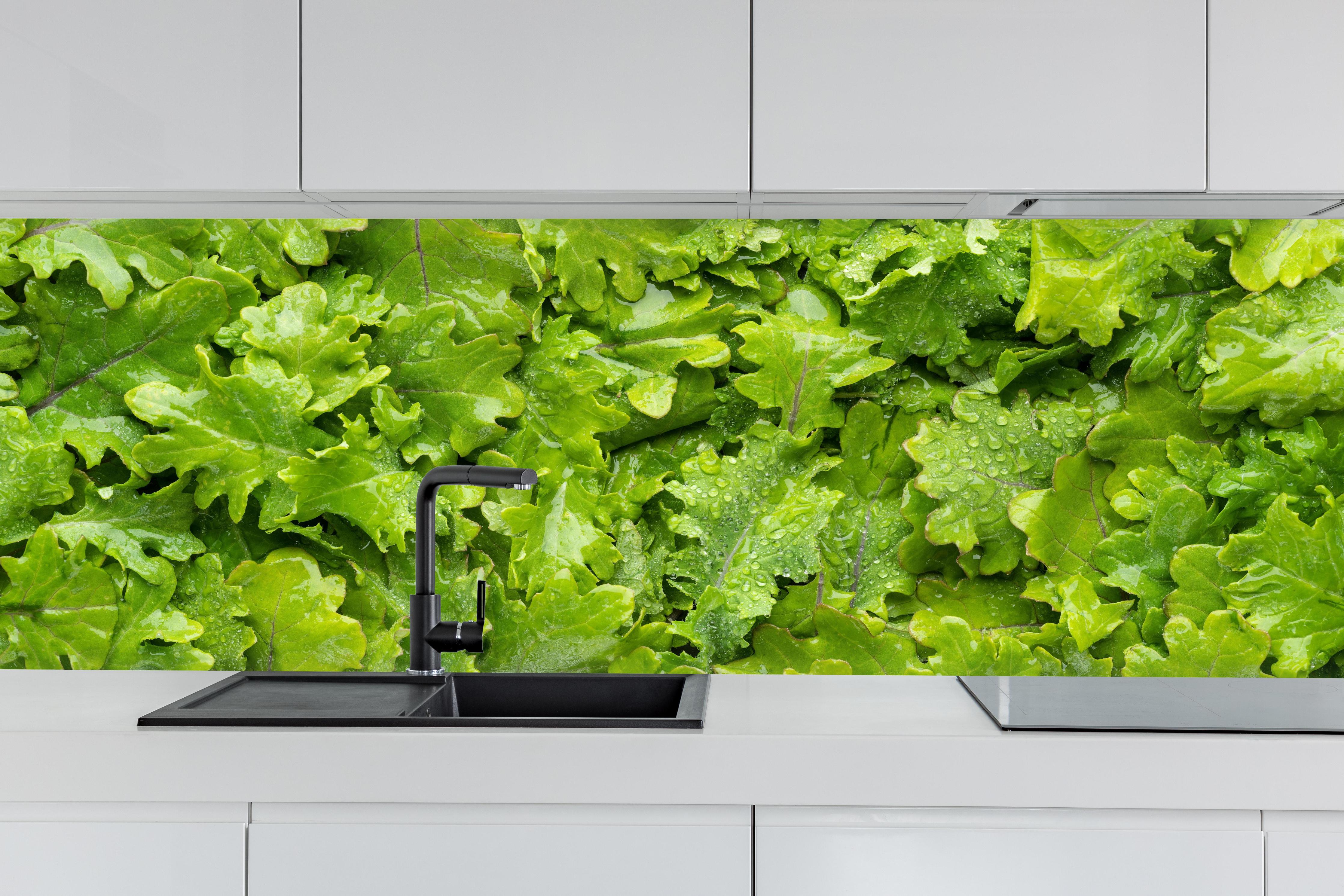 Küche - Frischer Rucola-Blätter-Hintergrund hinter weißen Hochglanz-Küchenregalen und schwarzem Wasserhahn
