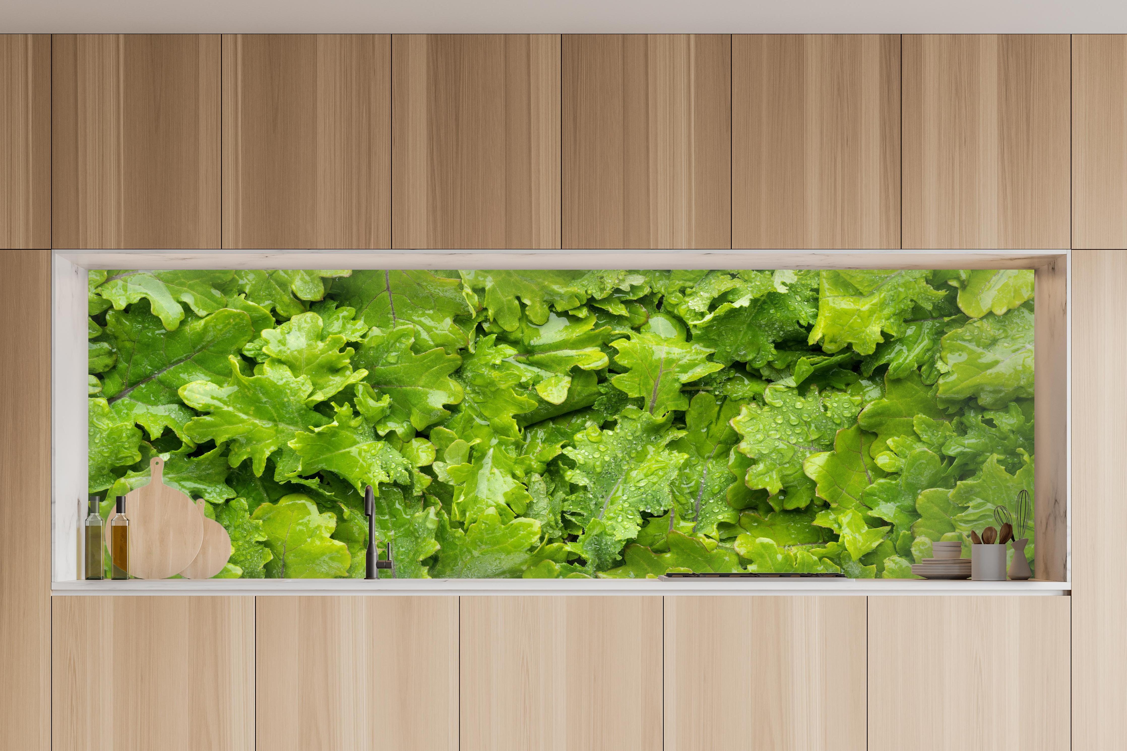 Küche - Frischer Rucola-Blätter-Hintergrund in charakteristischer Vollholz-Küche mit modernem Gasherd