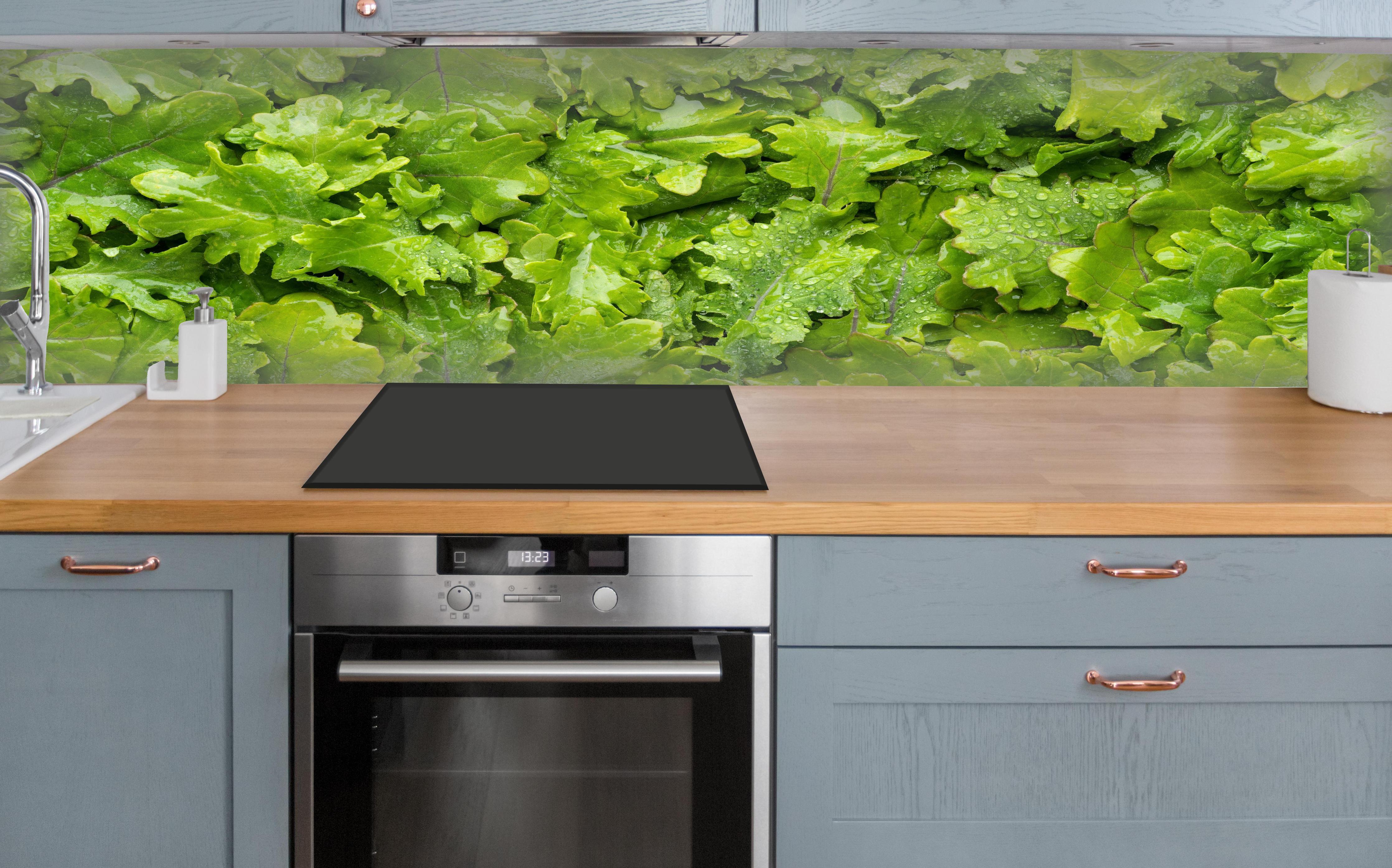 Küche - Frischer Rucola-Blätter-Hintergrund über polierter Holzarbeitsplatte mit Cerankochfeld