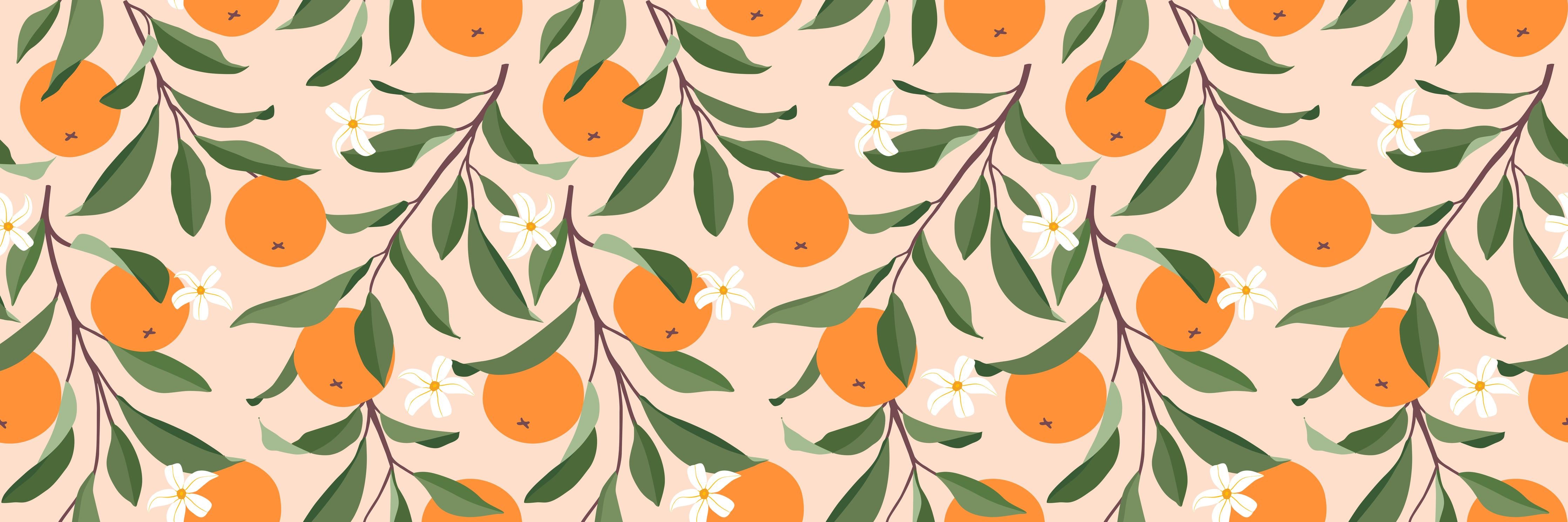Küchenrückwand-Fruchtiges Citrus-Orange Design