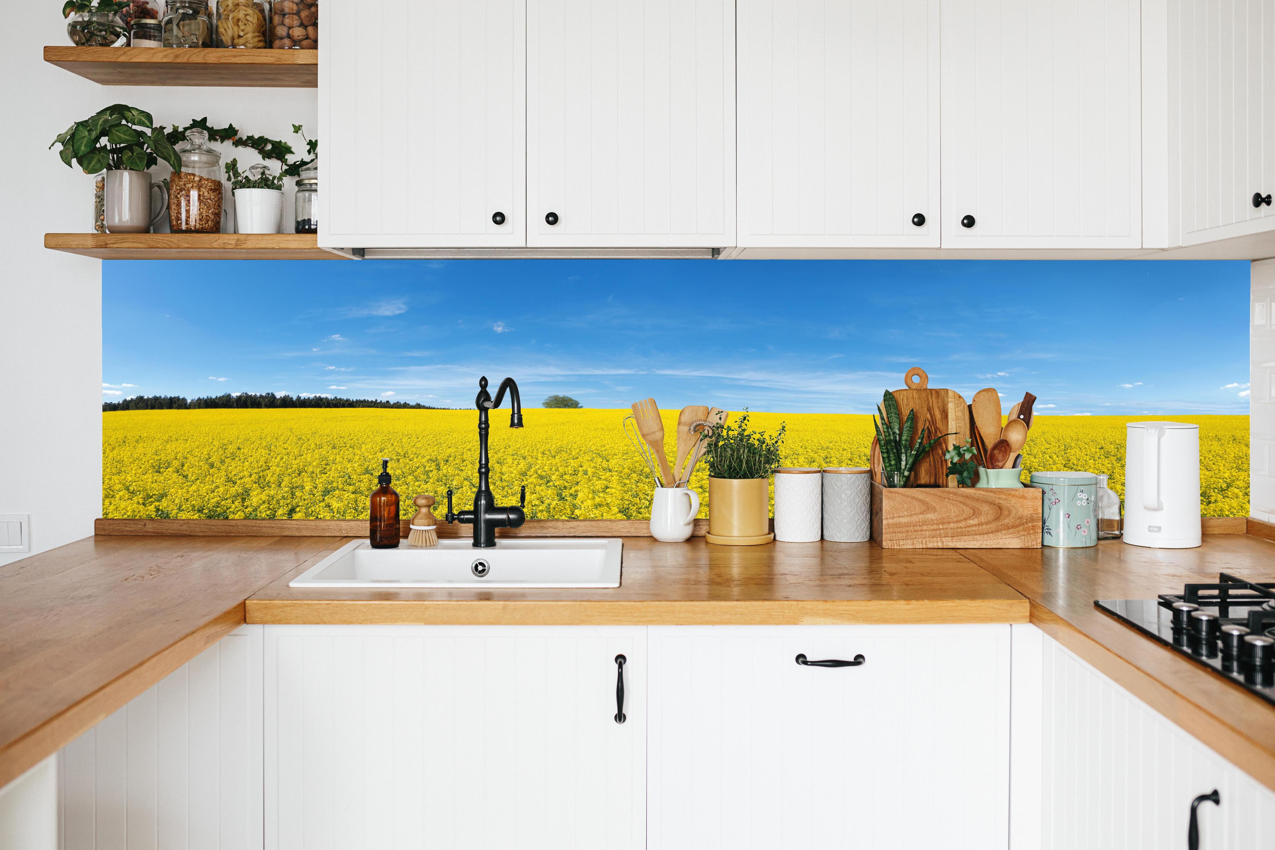 Küche - Gelbes Rapsfeld blauer Himmel in weißer Küche hinter Gewürzen und Kochlöffeln aus Holz