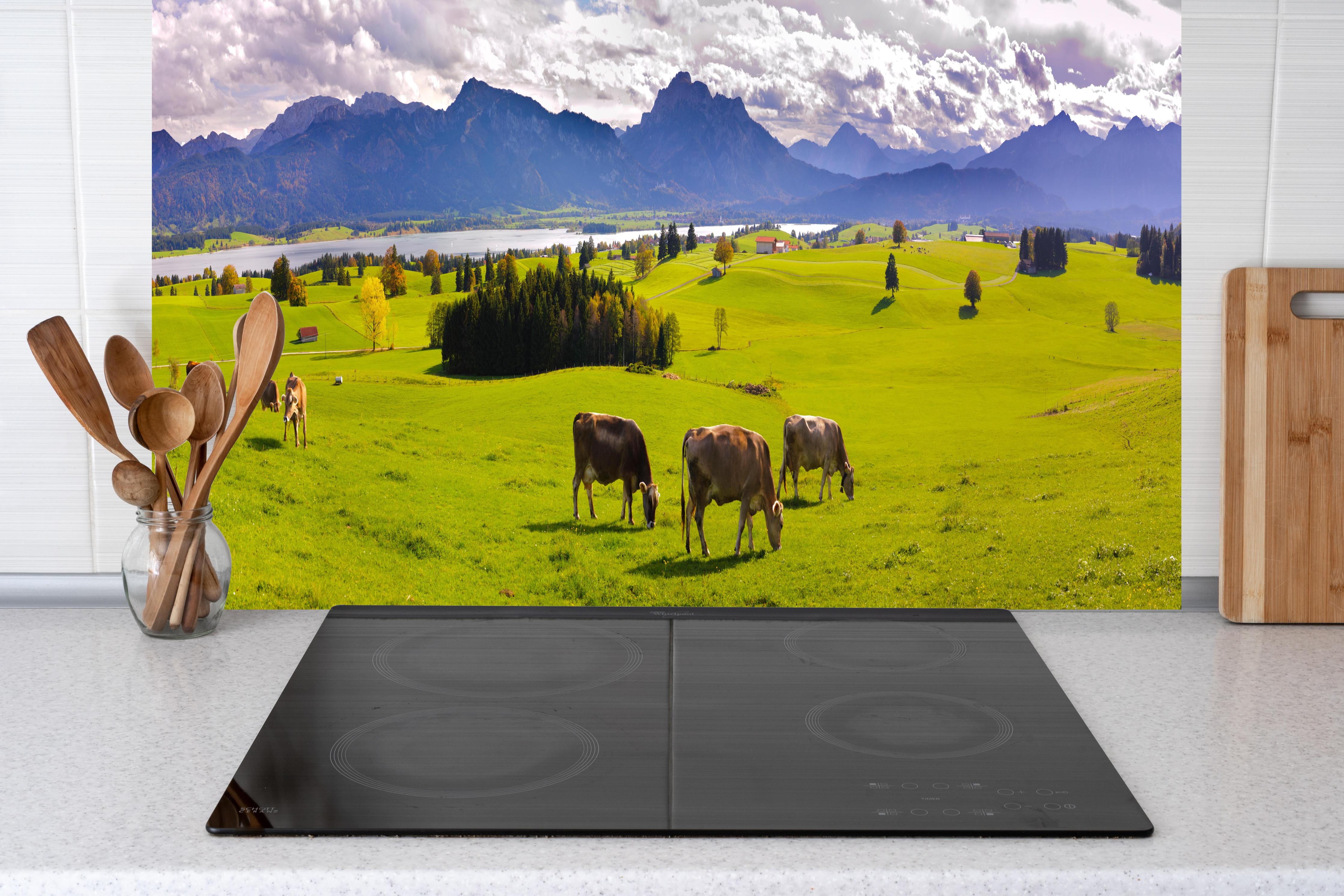 Küche - Grüne Bergwiese mit Kühen hinter Cerankochfeld und Holz-Kochutensilien