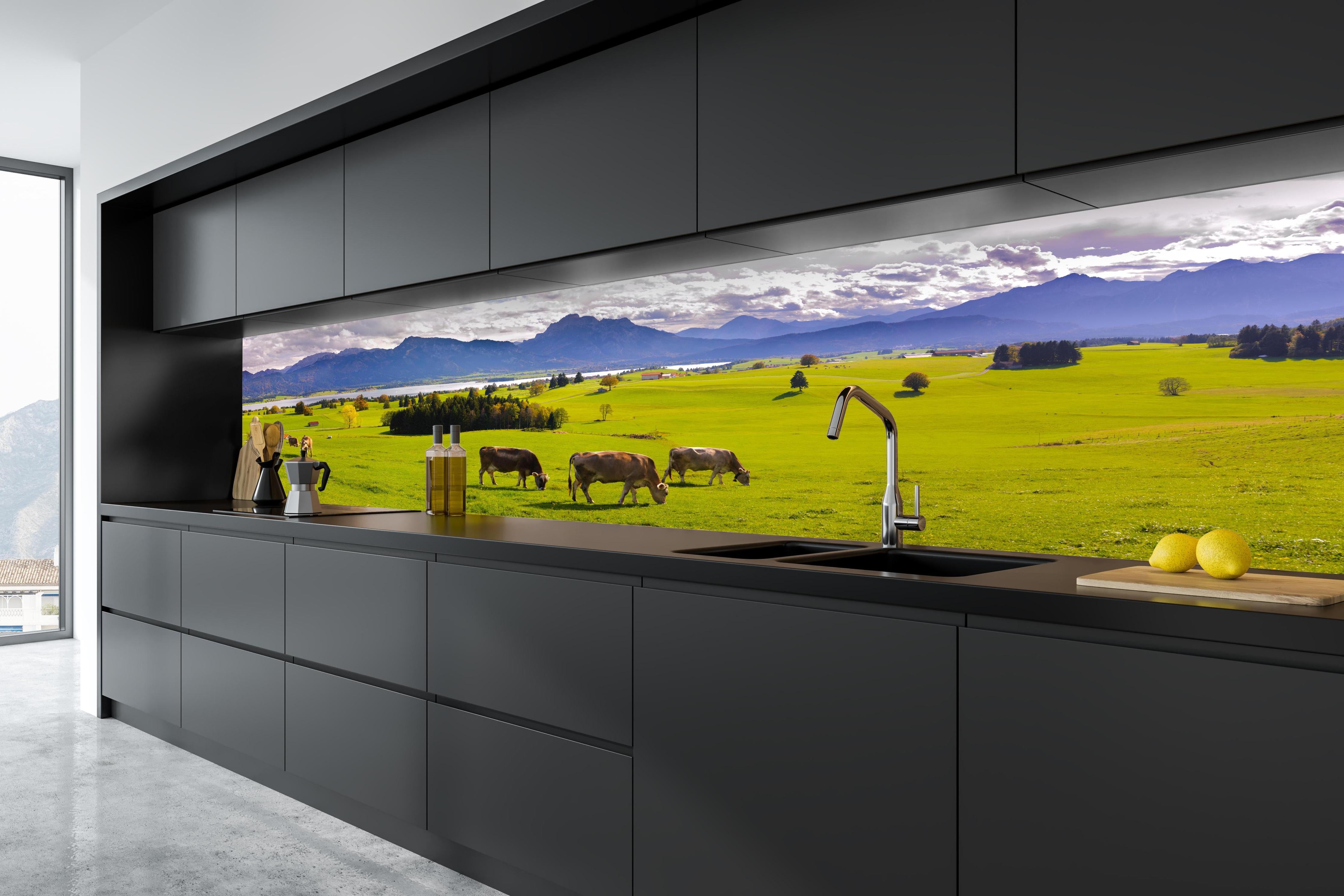 Küche - Grüne Bergwiese mit Kühen in tiefschwarzer matt-premium Einbauküche