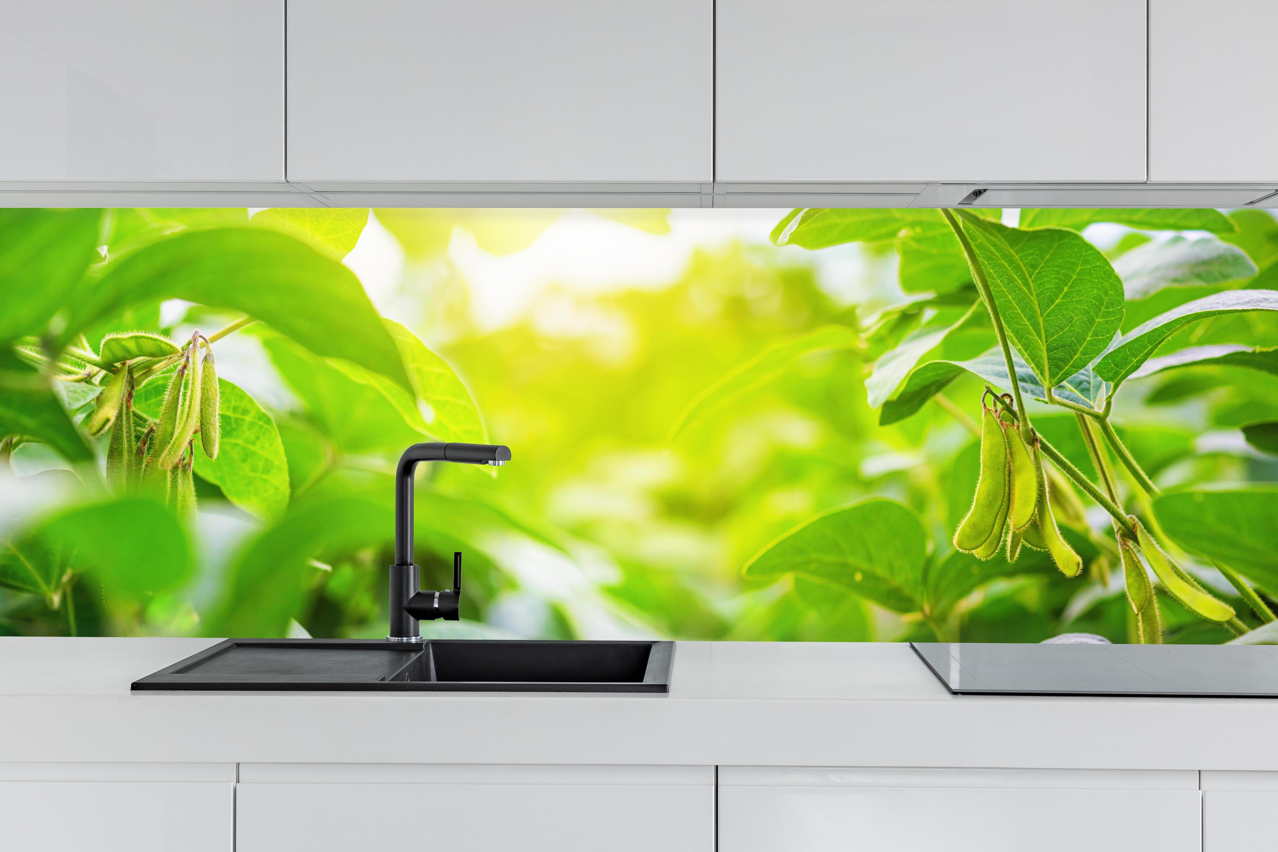 Küche - Grüne Kräuterpflanze im Sonnenlicht hinter weißen Hochglanz-Küchenregalen und schwarzem Wasserhahn