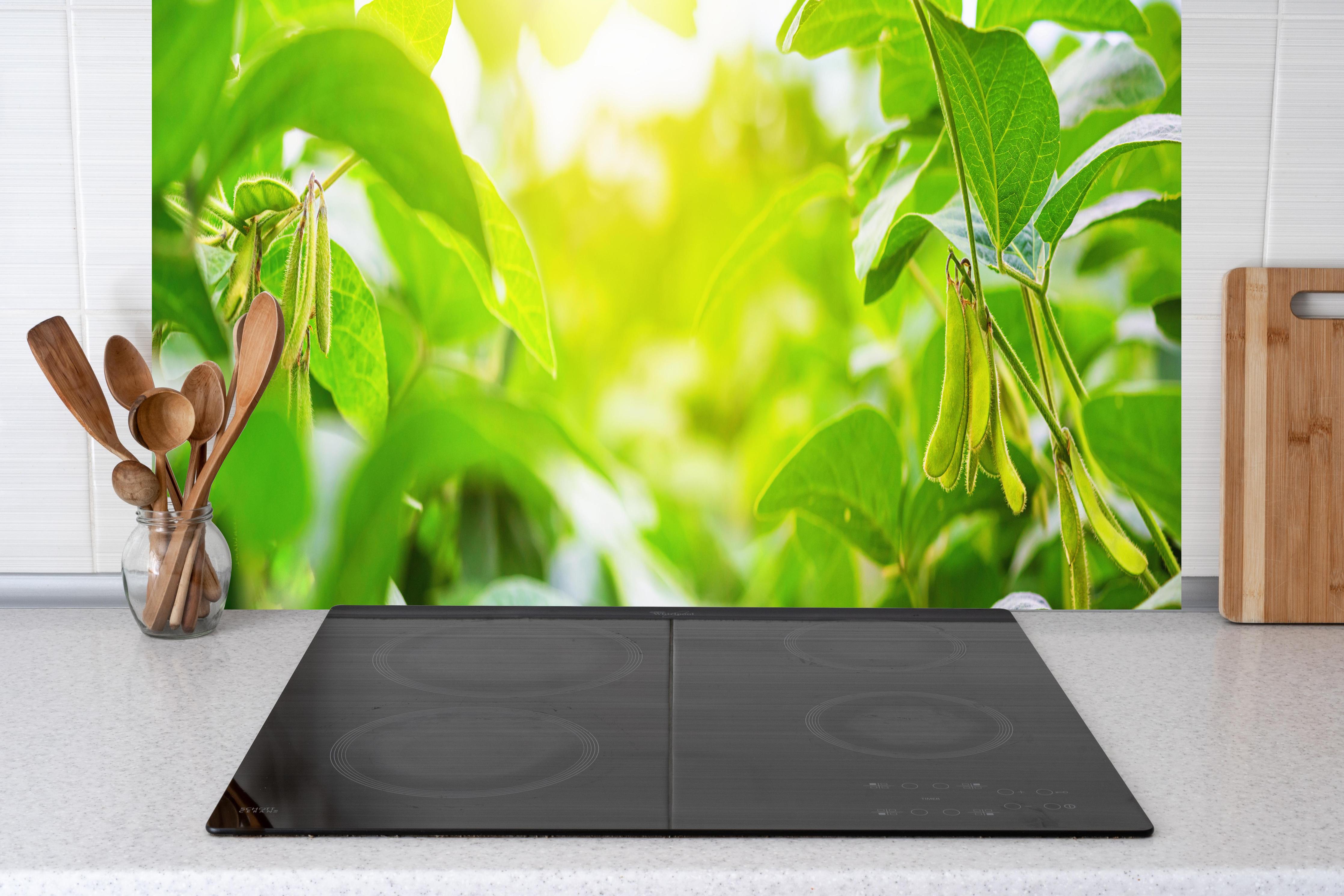 Küche - Grüne Kräuterpflanze im Sonnenlicht hinter Cerankochfeld und Holz-Kochutensilien