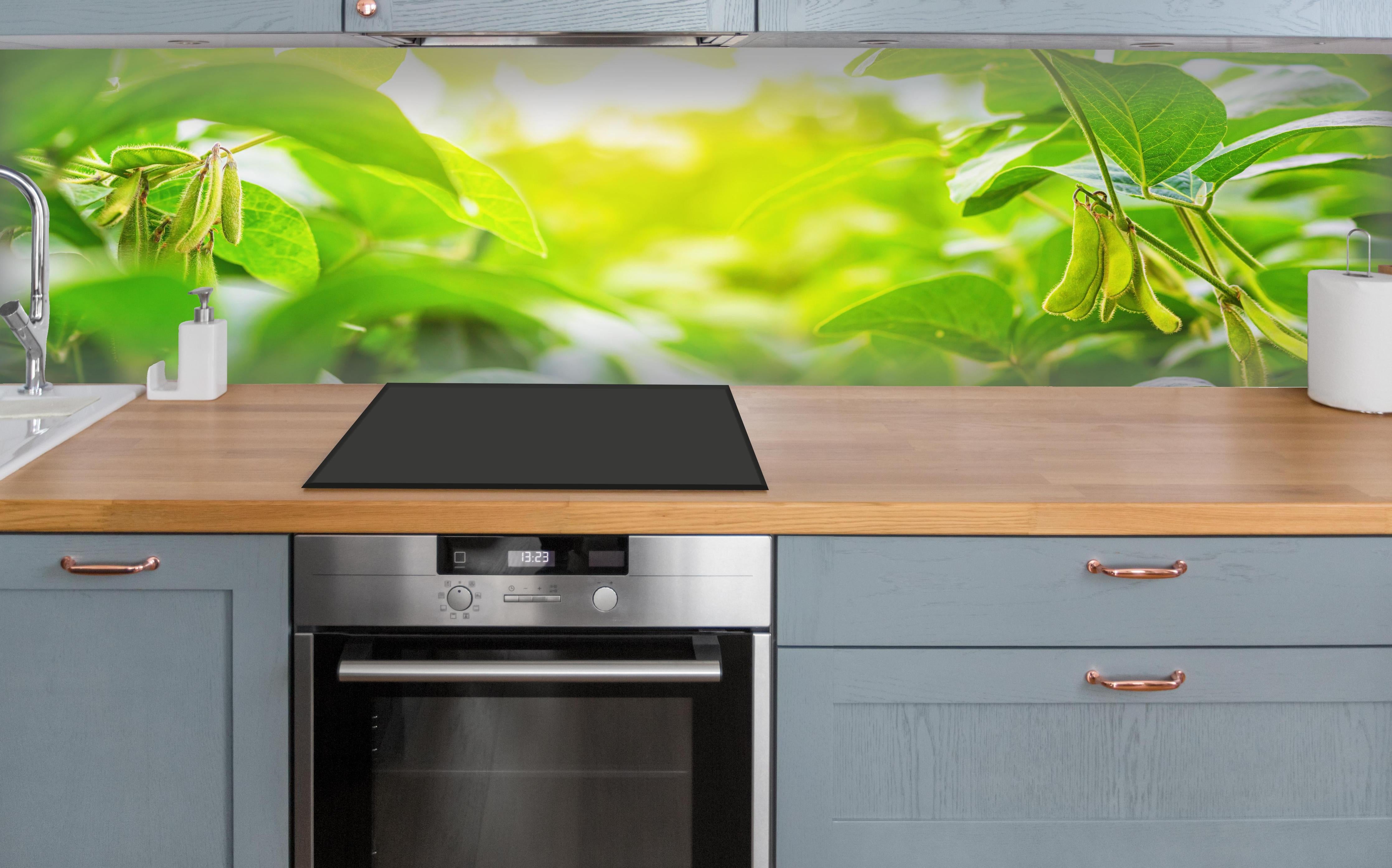 Küche - Grüne Kräuterpflanze im Sonnenlicht über polierter Holzarbeitsplatte mit Cerankochfeld