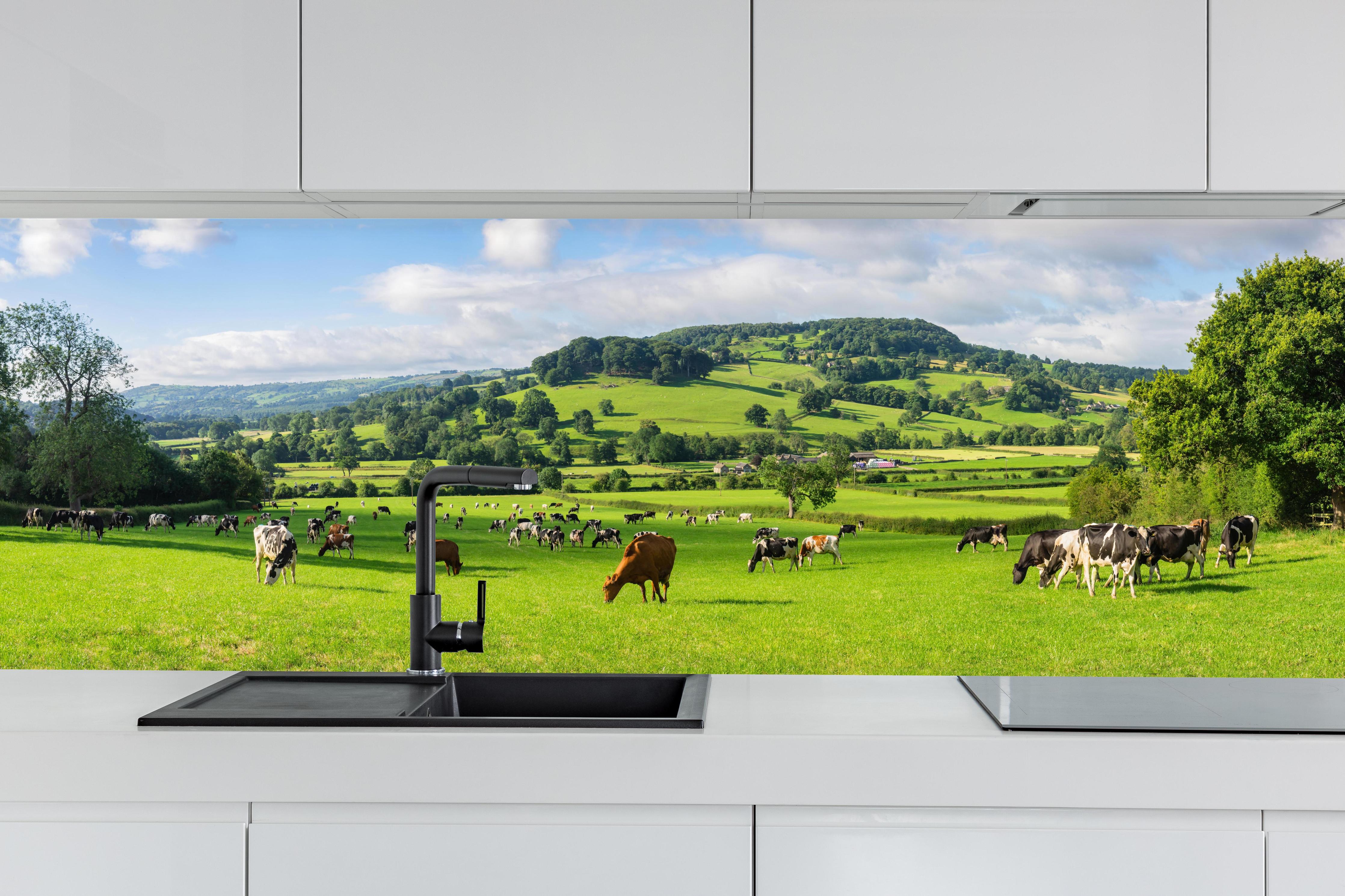 Küche - Grüne Weide mit Kühen hinter weißen Hochglanz-Küchenregalen und schwarzem Wasserhahn