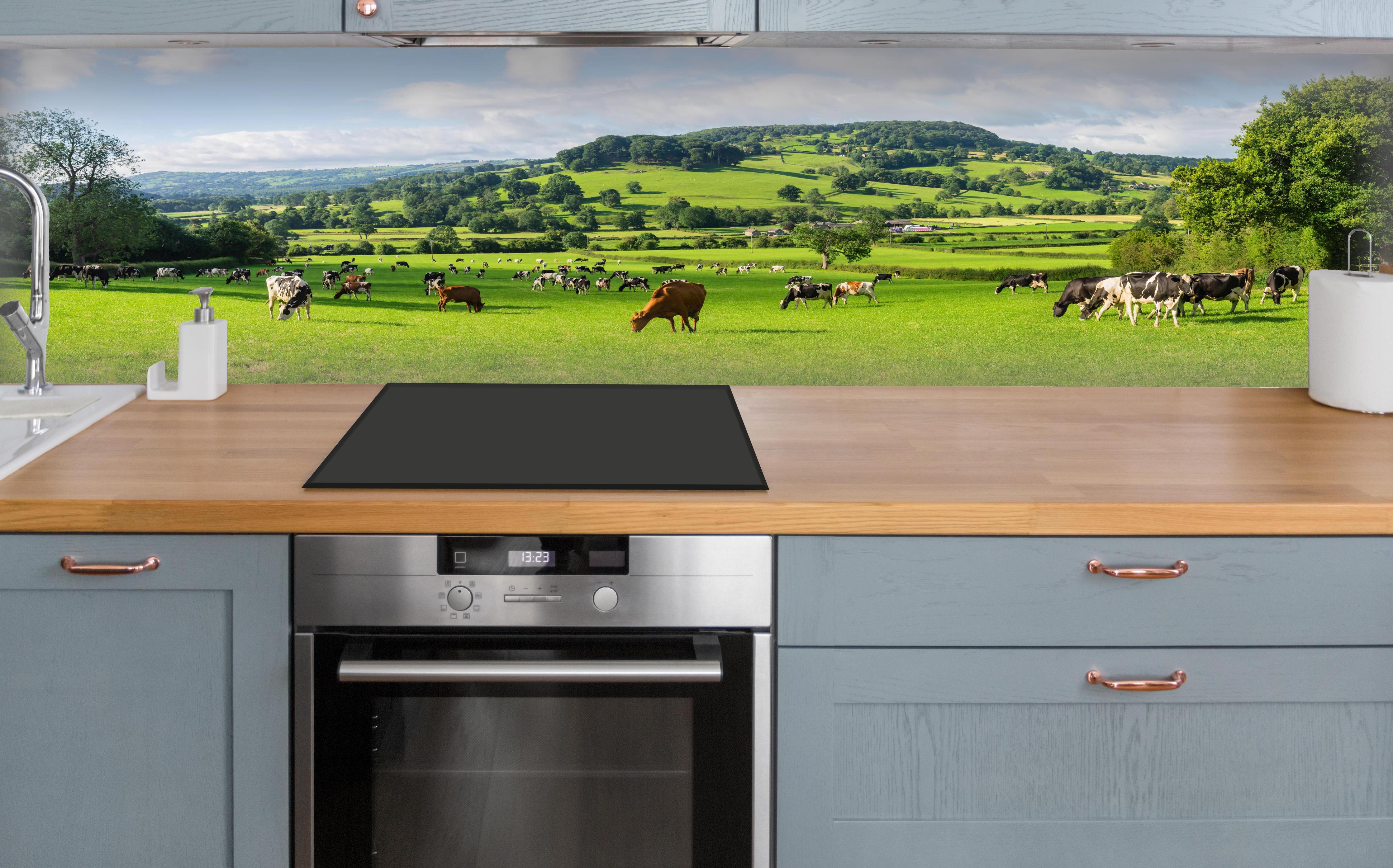Küche - Grüne Weide mit Kühen über polierter Holzarbeitsplatte mit Cerankochfeld