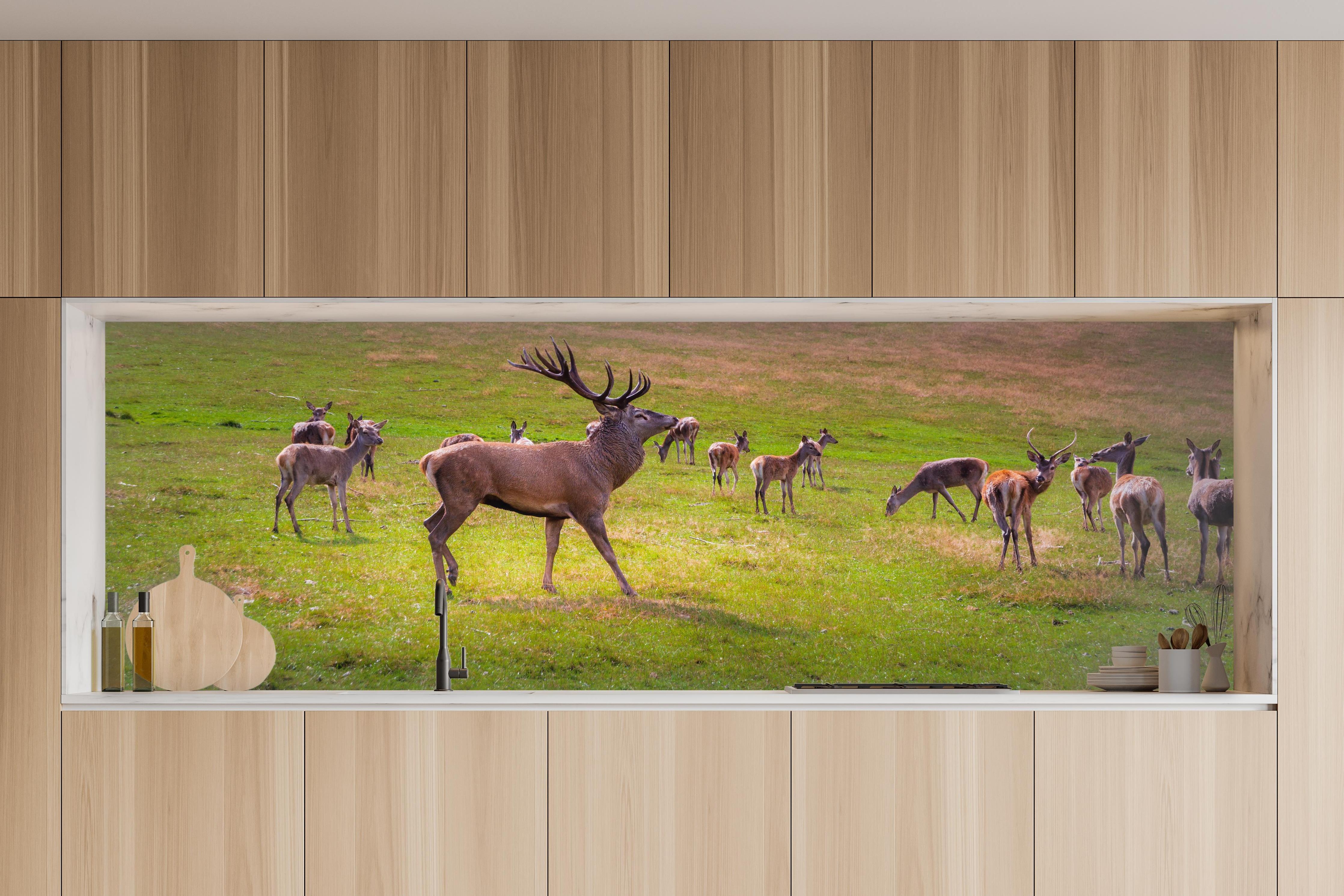 Küche - Hirschrudel auf grüner Wiese in charakteristischer Vollholz-Küche mit modernem Gasherd