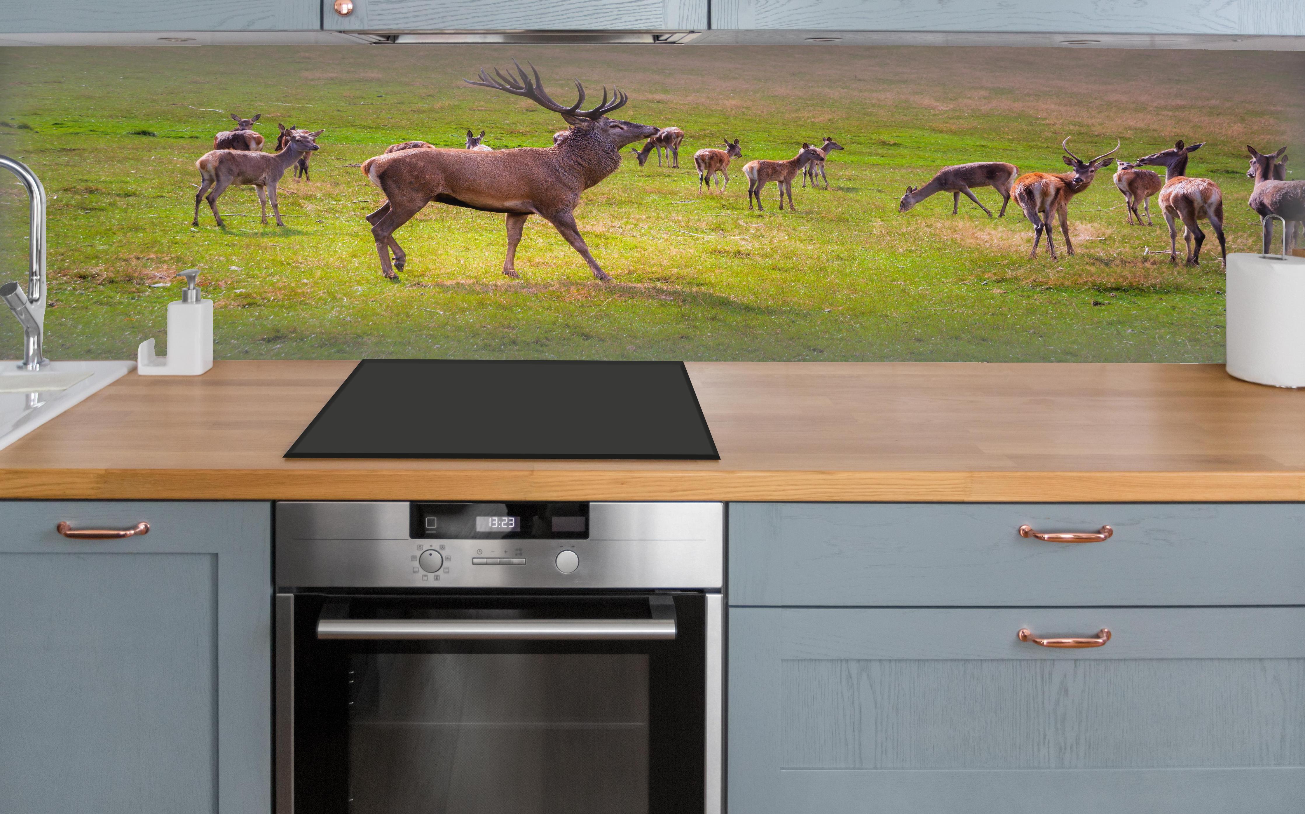 Küche - Hirschrudel auf grüner Wiese über polierter Holzarbeitsplatte mit Cerankochfeld