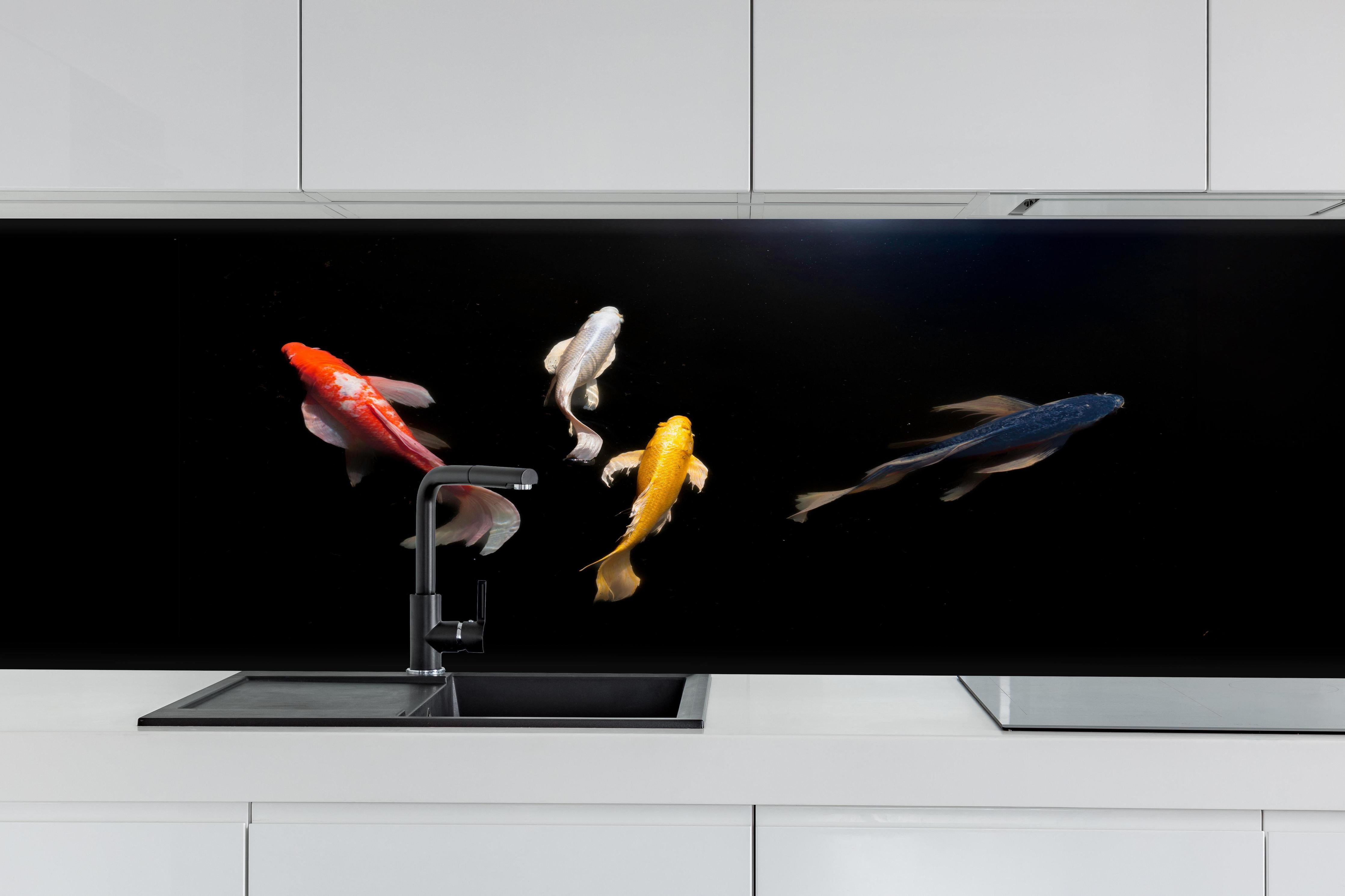 Küche - Koi-Karpfen Schwarz Rot Gelb hinter weißen Hochglanz-Küchenregalen und schwarzem Wasserhahn