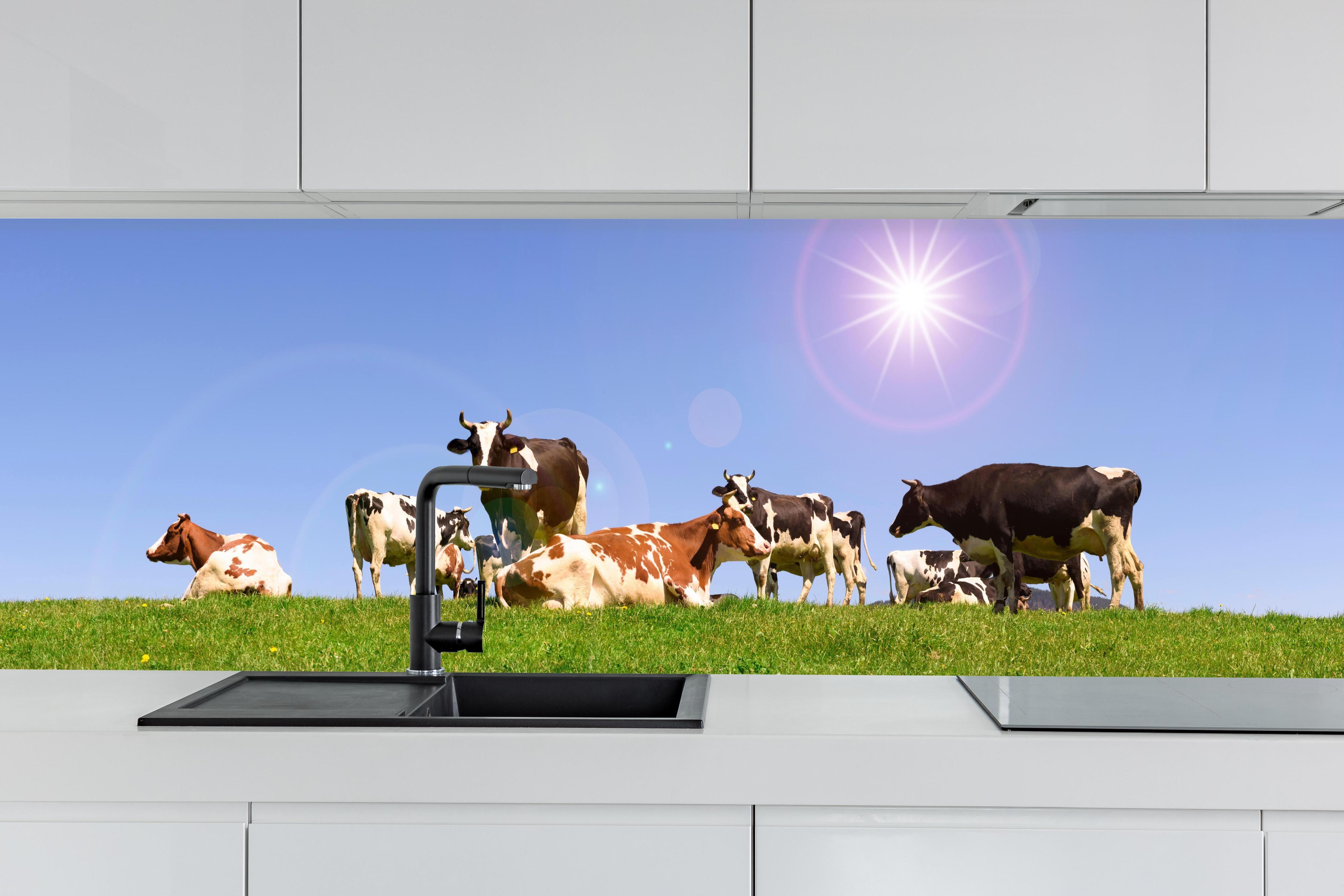 Küche - Kuhherde auf grüner Wiese hinter weißen Hochglanz-Küchenregalen und schwarzem Wasserhahn